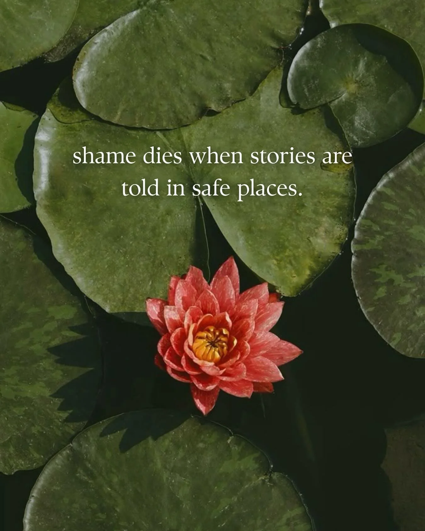 shame dies when stories are told in safe places π
#mentalhealth #wellbeing #psychology #therapy #shame