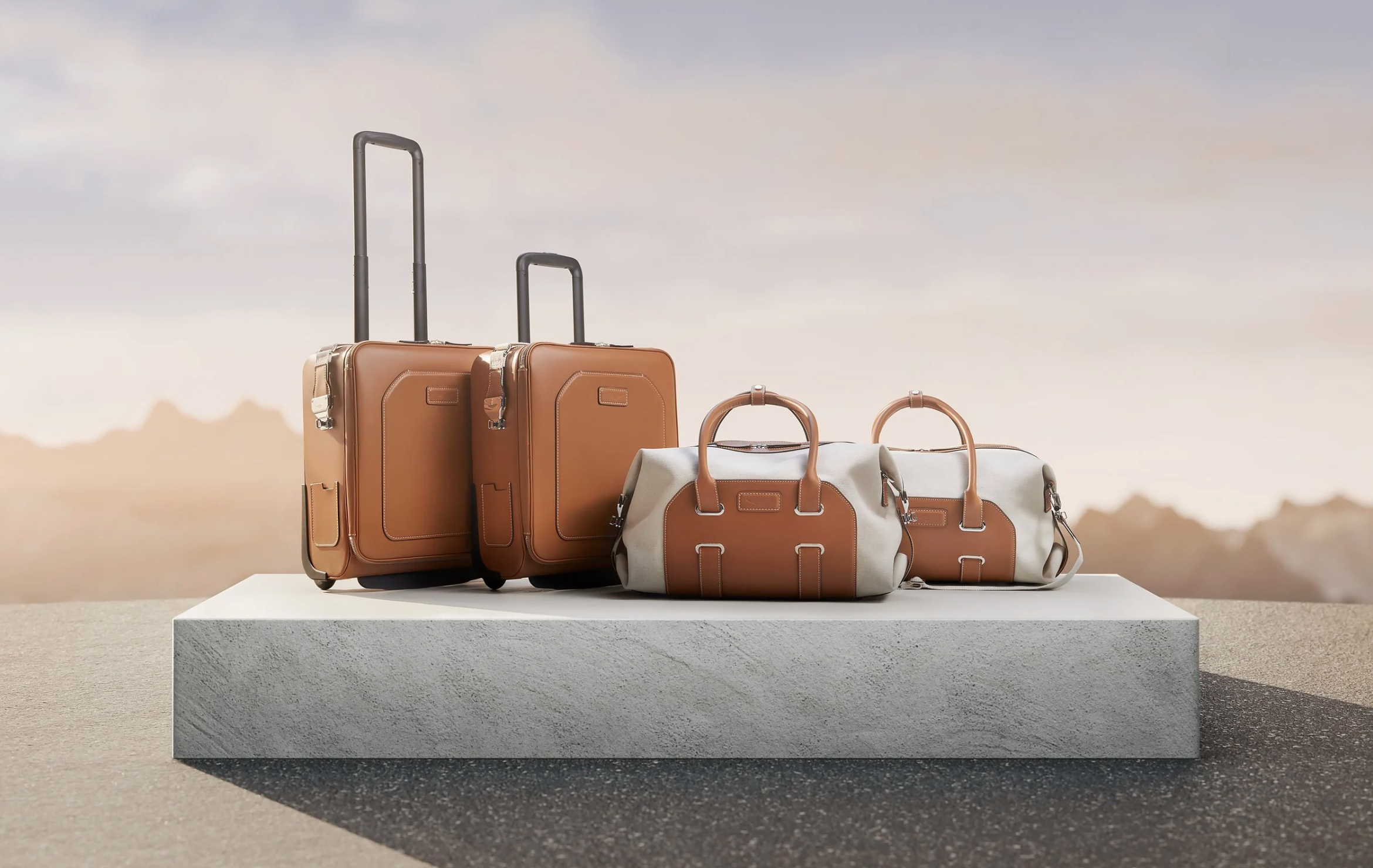 Aston Martin Luggage.png