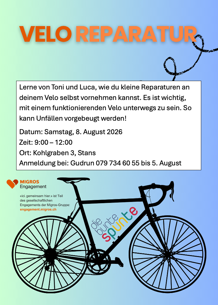 Velo Reparatur