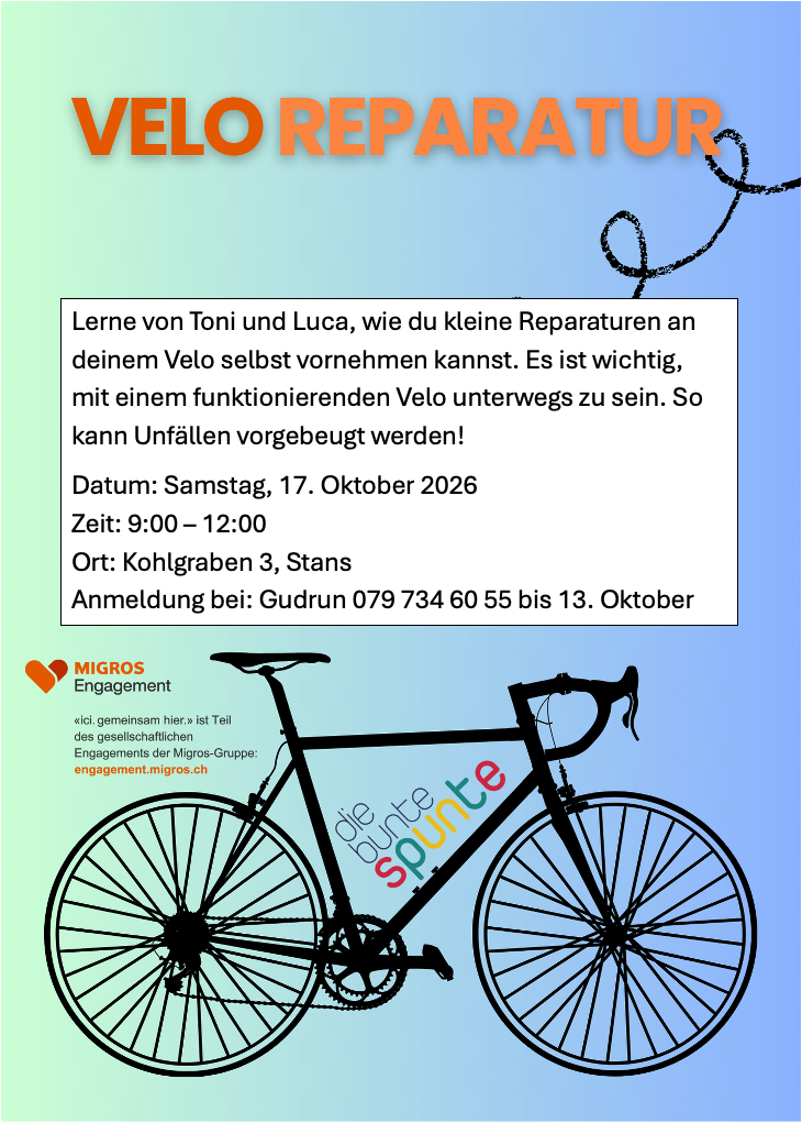 Velo Reparatur
