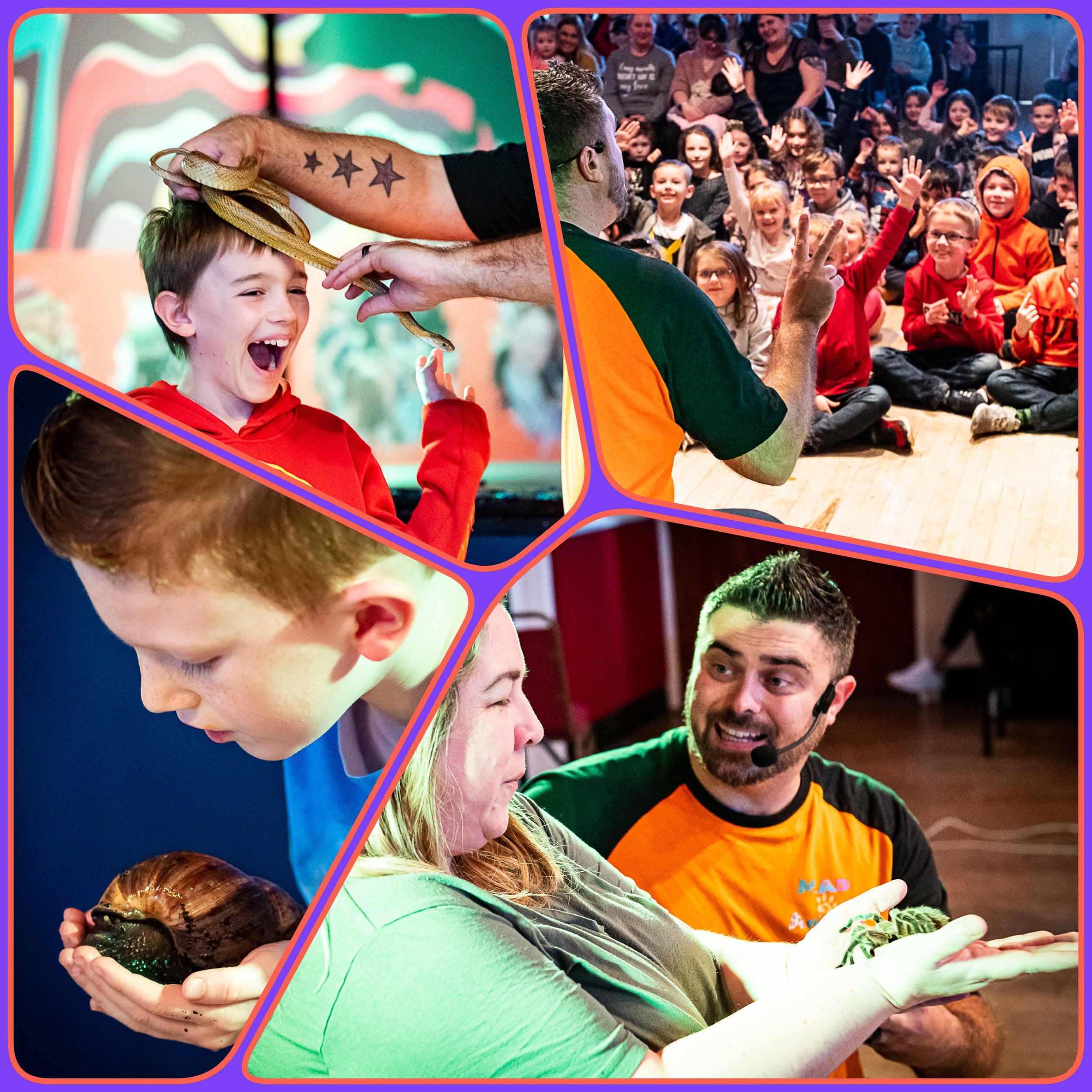 Mad 4 Animals - Free family entertainment!