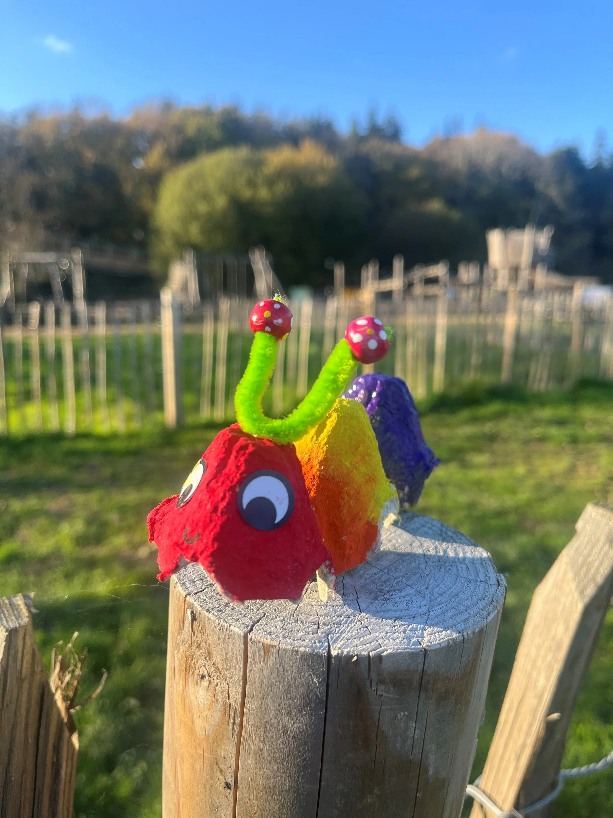 Craft &amp; Play Packs