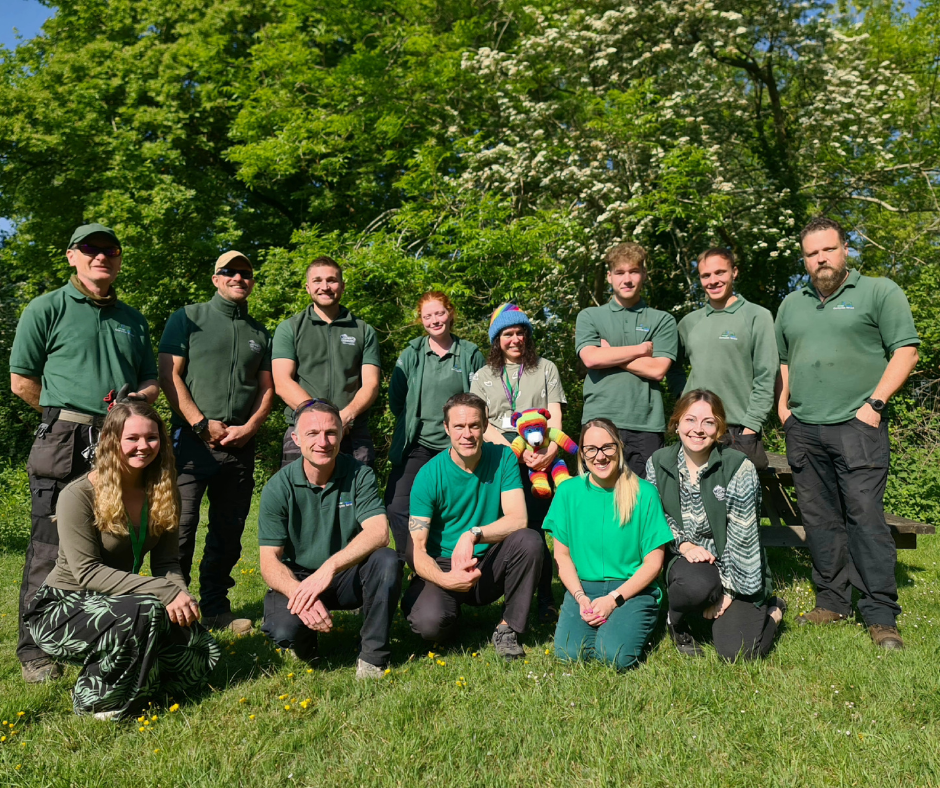 Apprentice edit 2.png