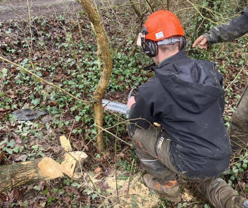 From Apprentice to Ranger: Daniel’s journey protecting Eastleigh’s countryside