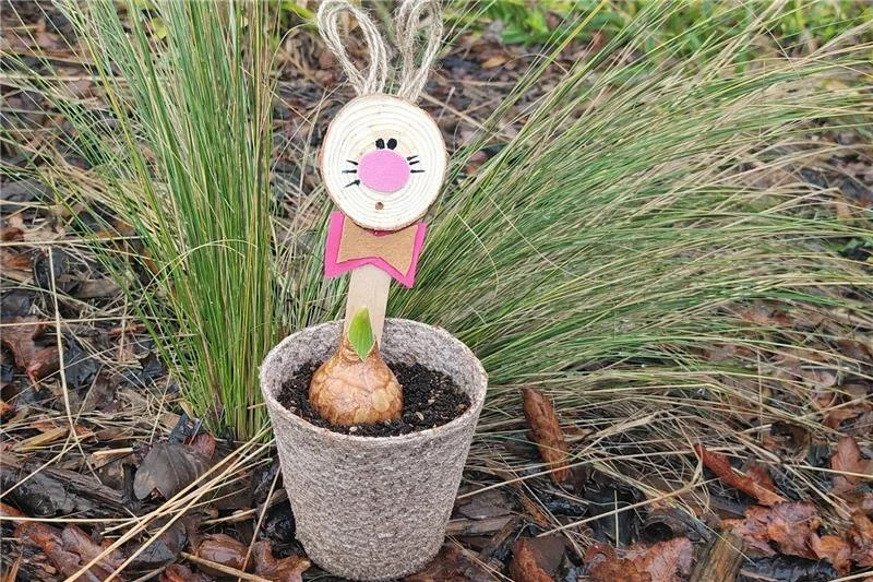 Bunny Plant Pot Marker Craft