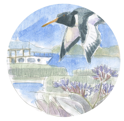 Walk &amp; Talk Extra - Hamble Peninsula