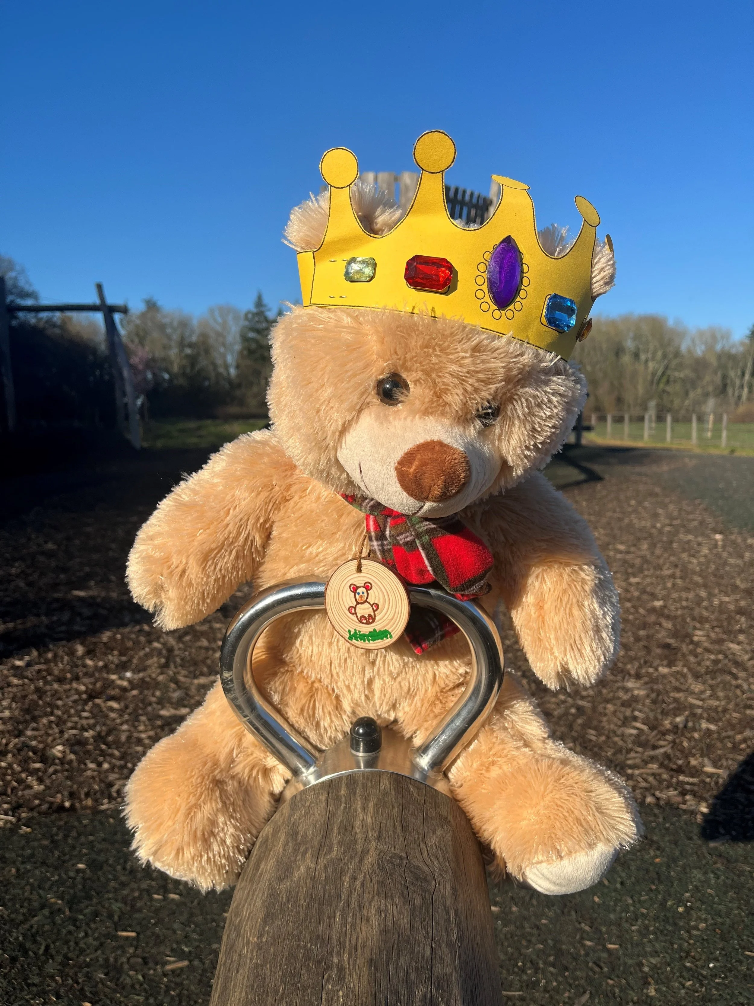 Nearly New Market &amp; Teddy Bear’s Picnic