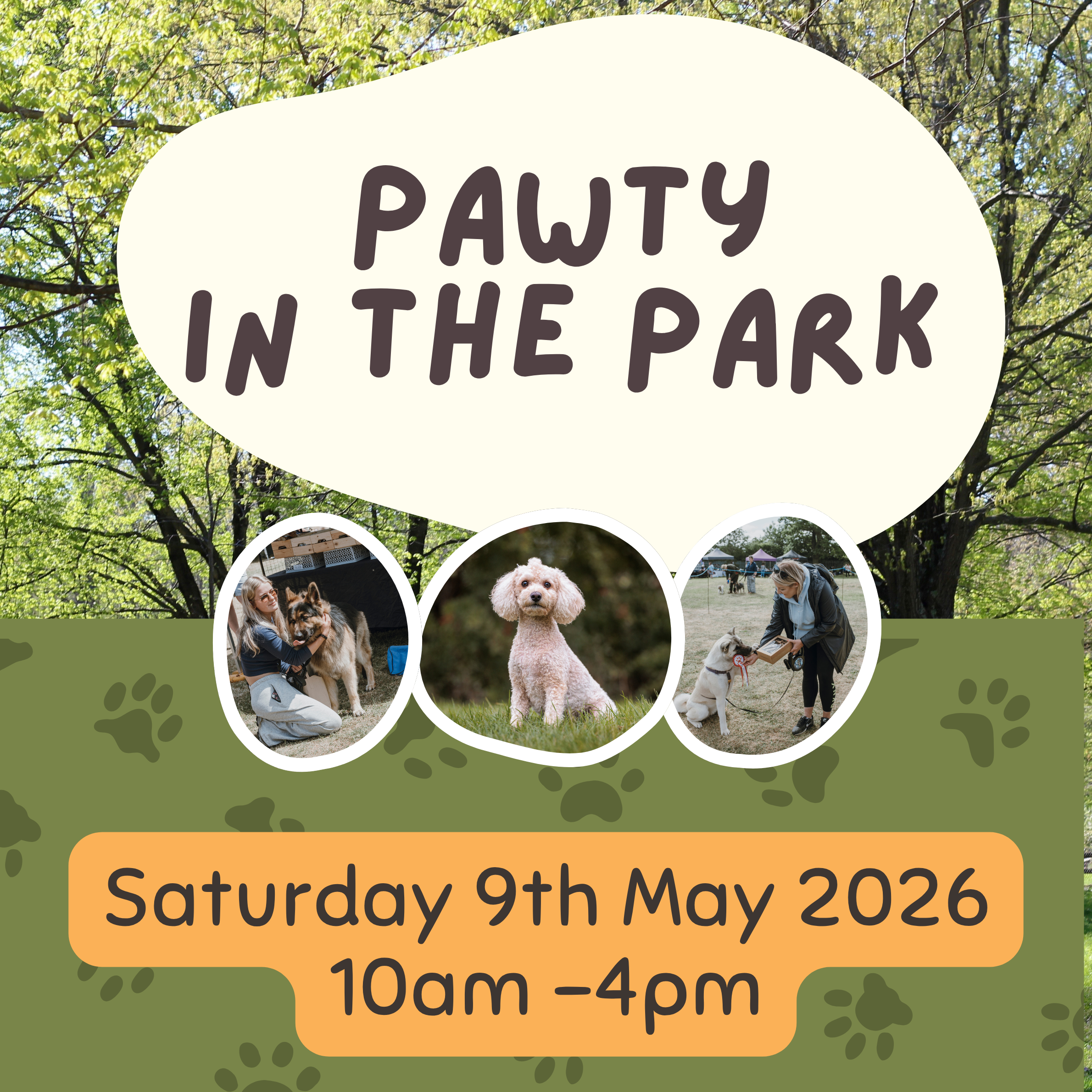 Pawty in the Park