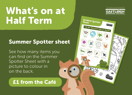 May Half Term - Spotter Sheet