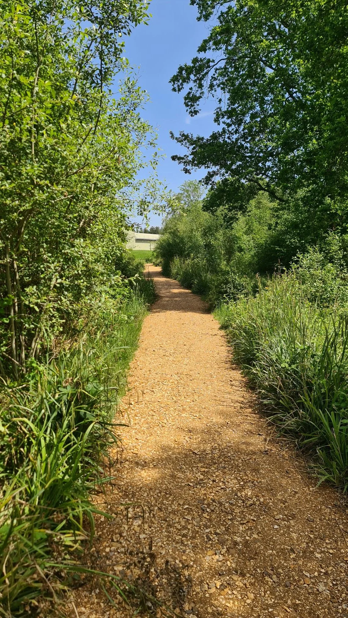path2.jpg