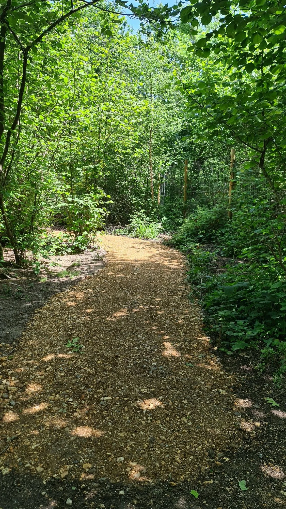path1.jpg