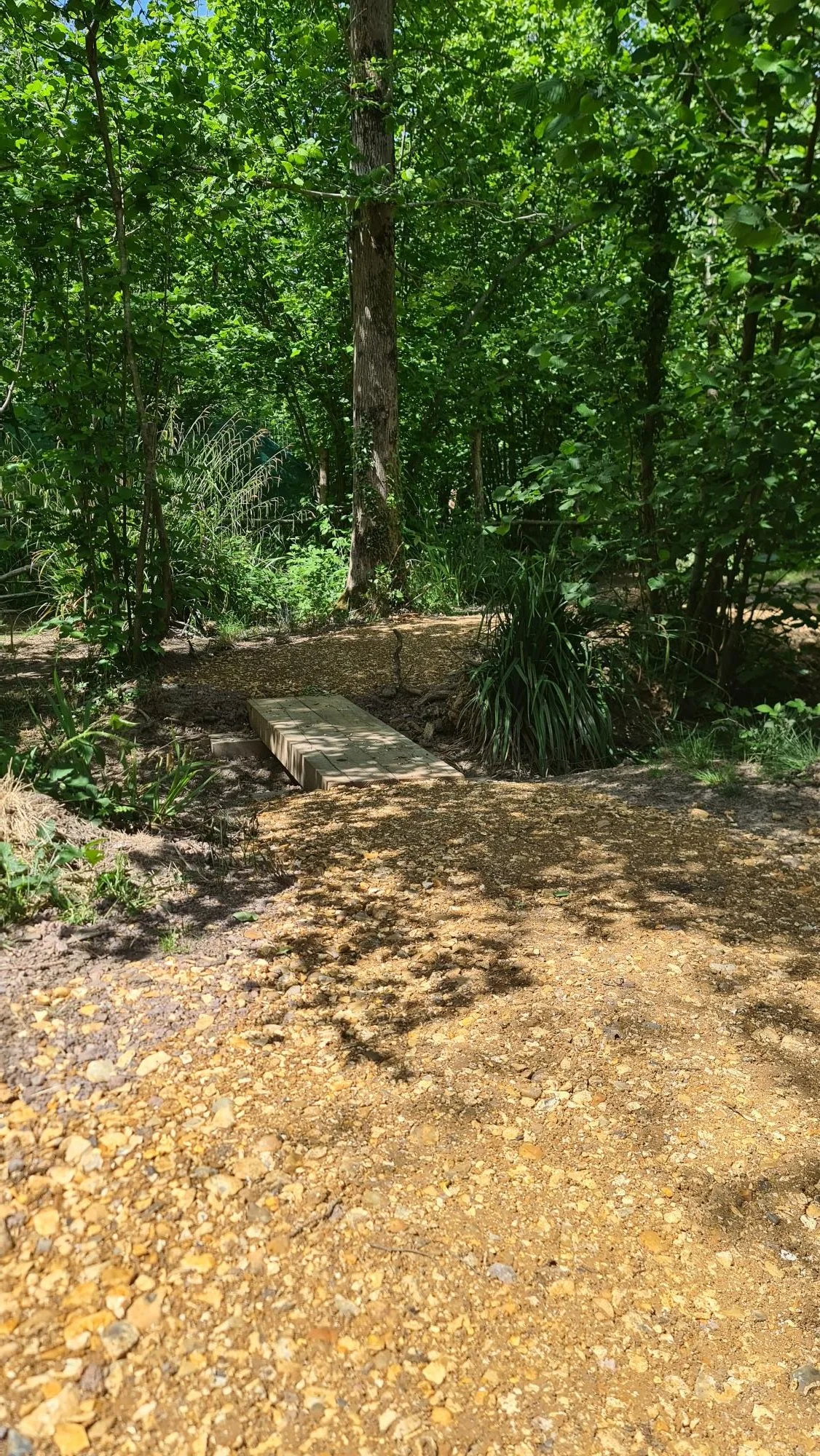 path.jpg