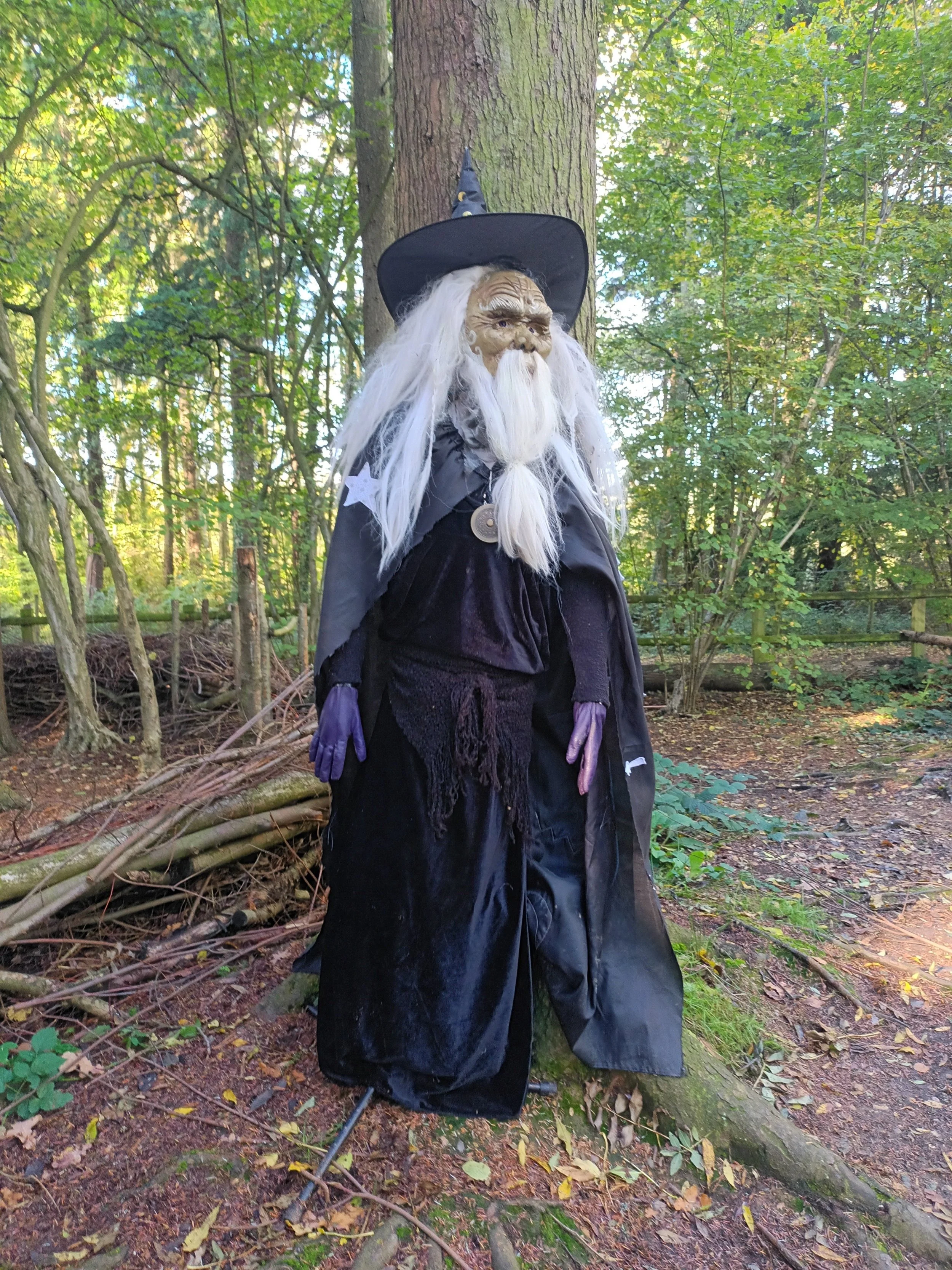 Wizard.jpg