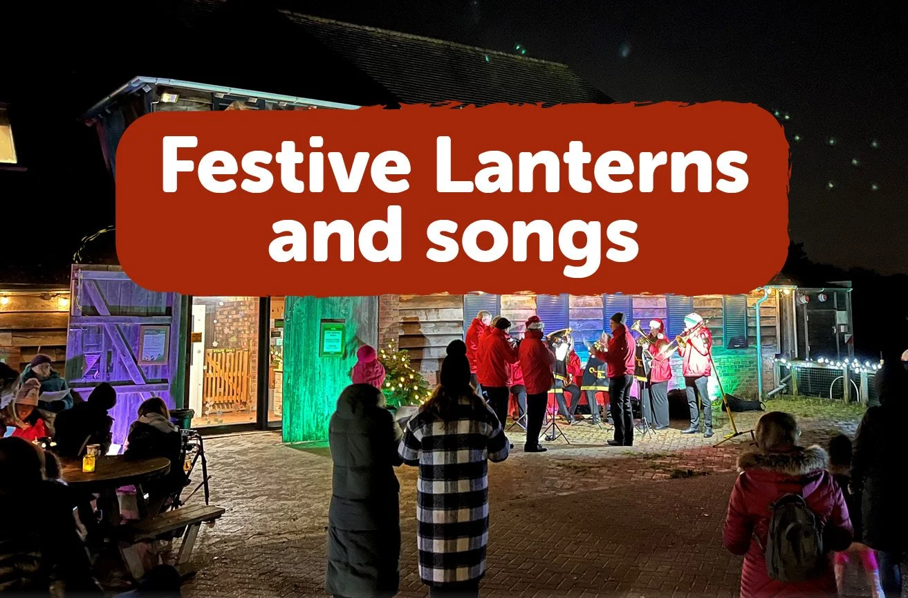 Festive Lanterns and Songs