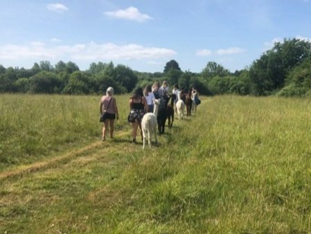 People walking in the woods