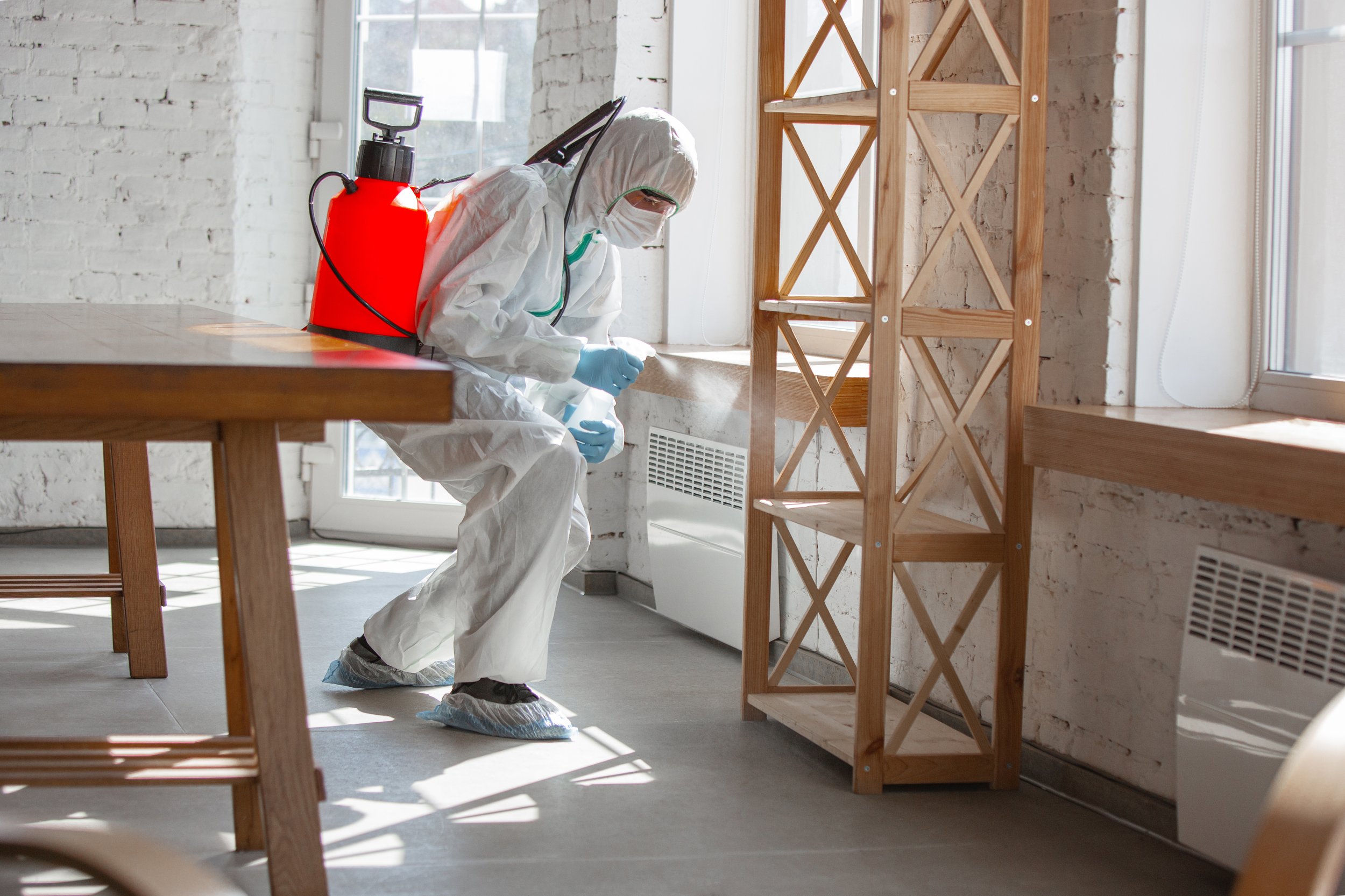 Effective Mold Remediation in North Fort Worth: A Complete Guide
