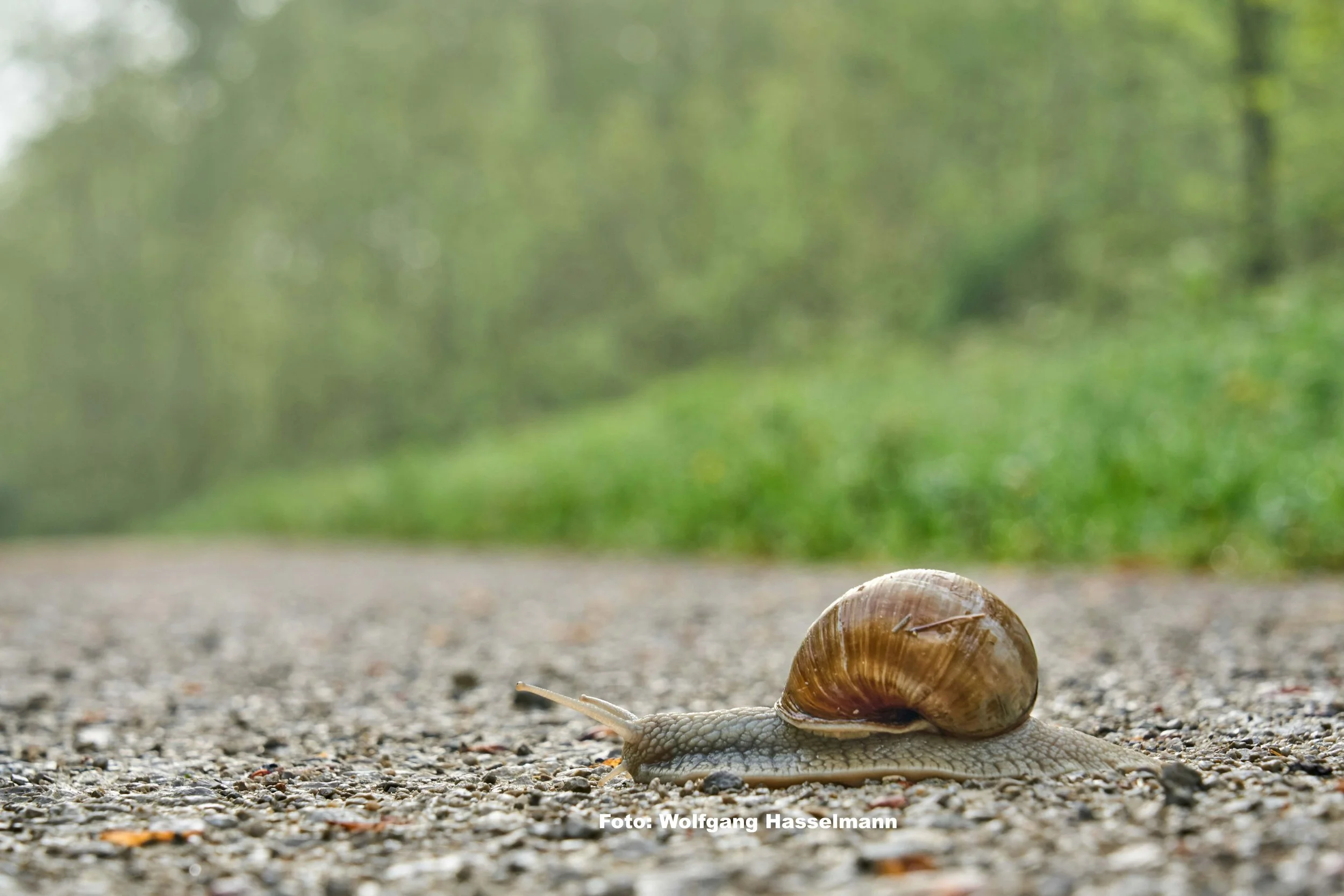Slow Touring