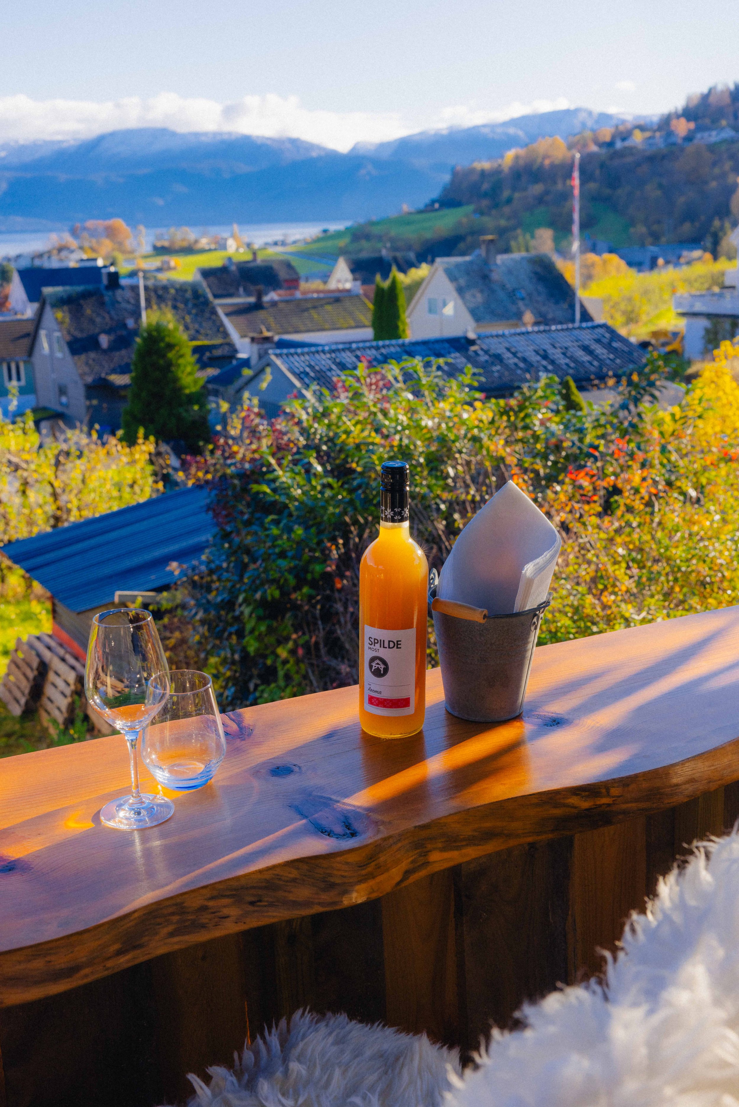 Hardanger tur med Celina_30.Okt 2025-8856.jpg