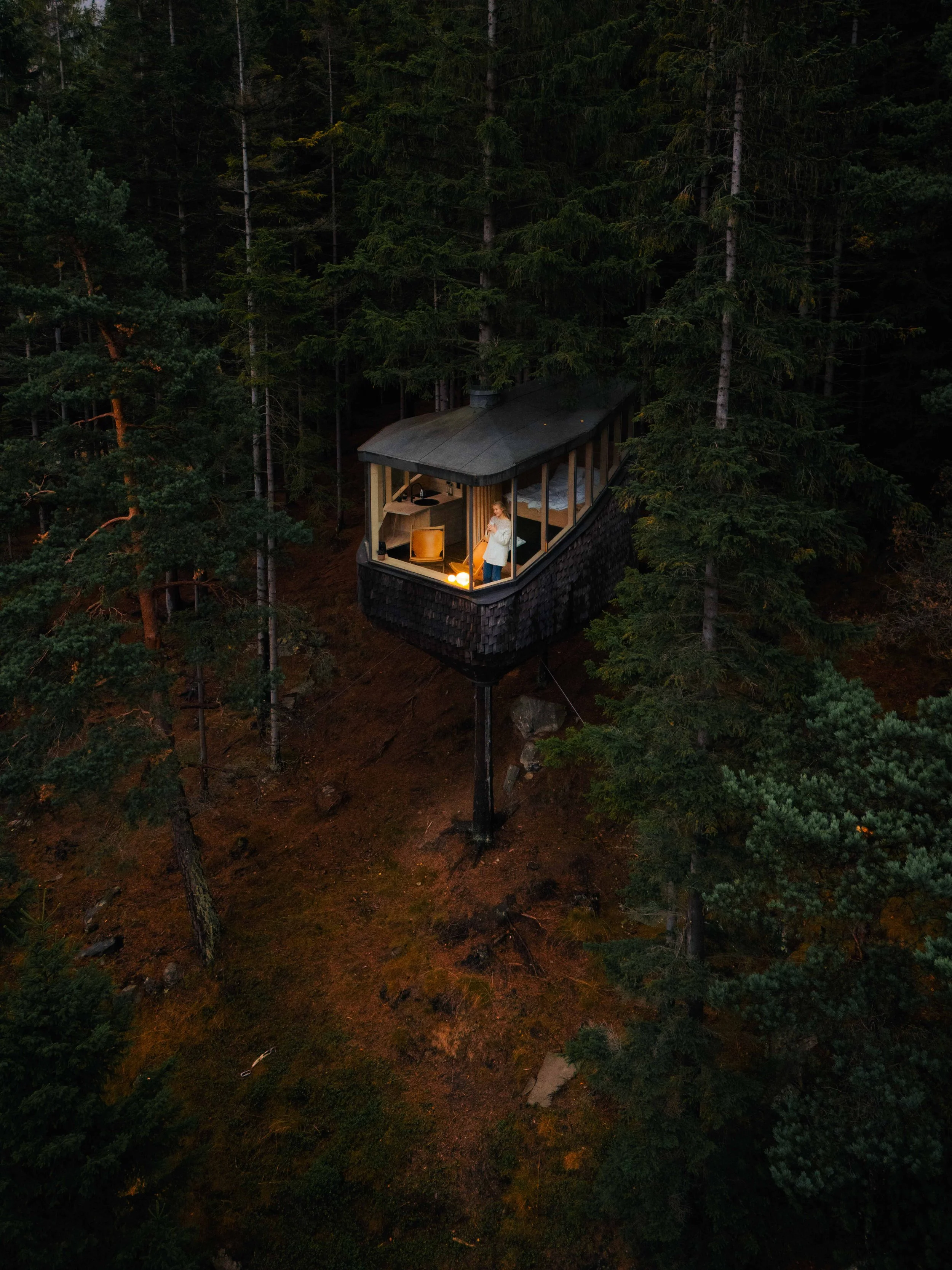 Woodnest
