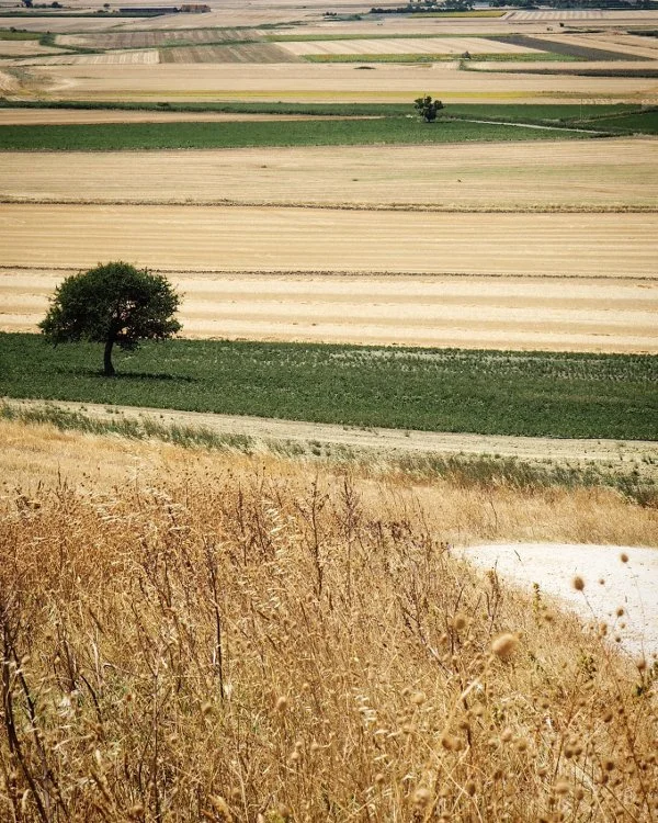 Une semaine au ralenti dans les Pouilles