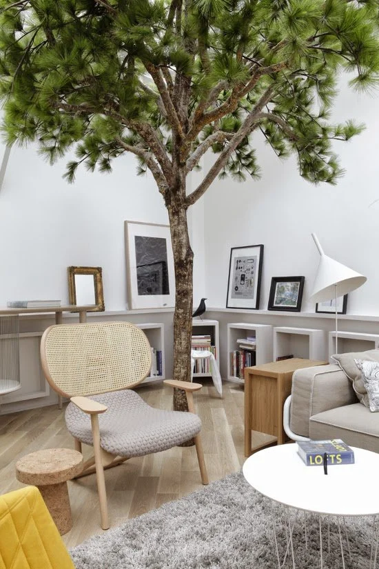 Quand la nature envahit un appartement parisien