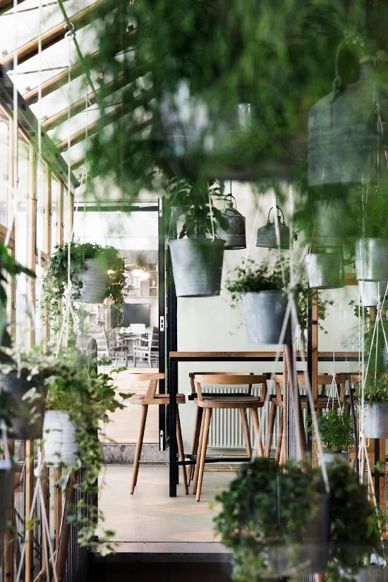 Un restaurant comme une jungle urbaine 