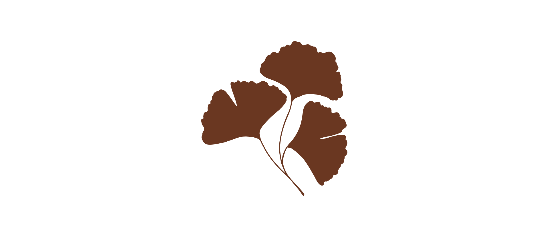 icone de la maison épurée, 3 gingko terracotta.