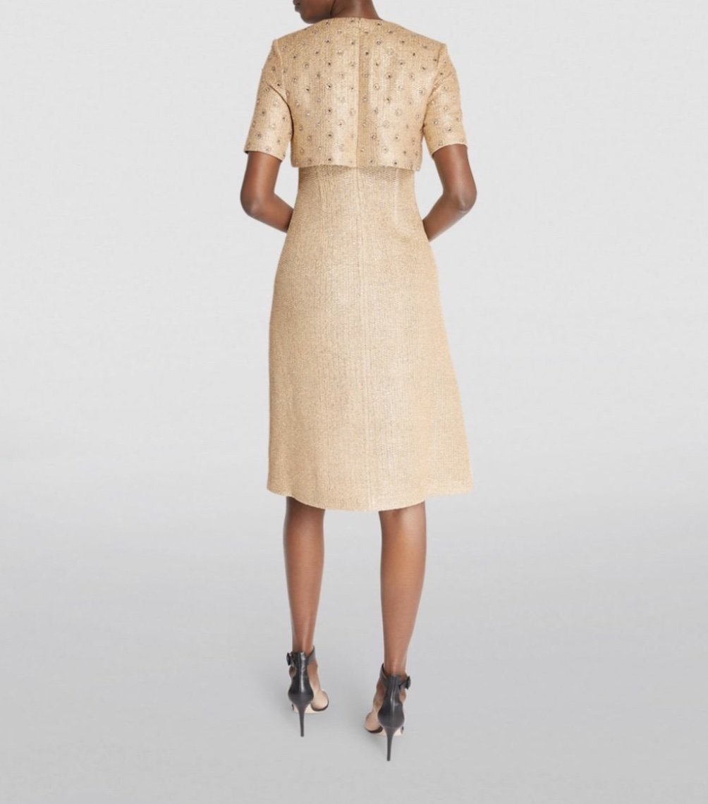 St. John - Sparkle Dress 2.jpeg