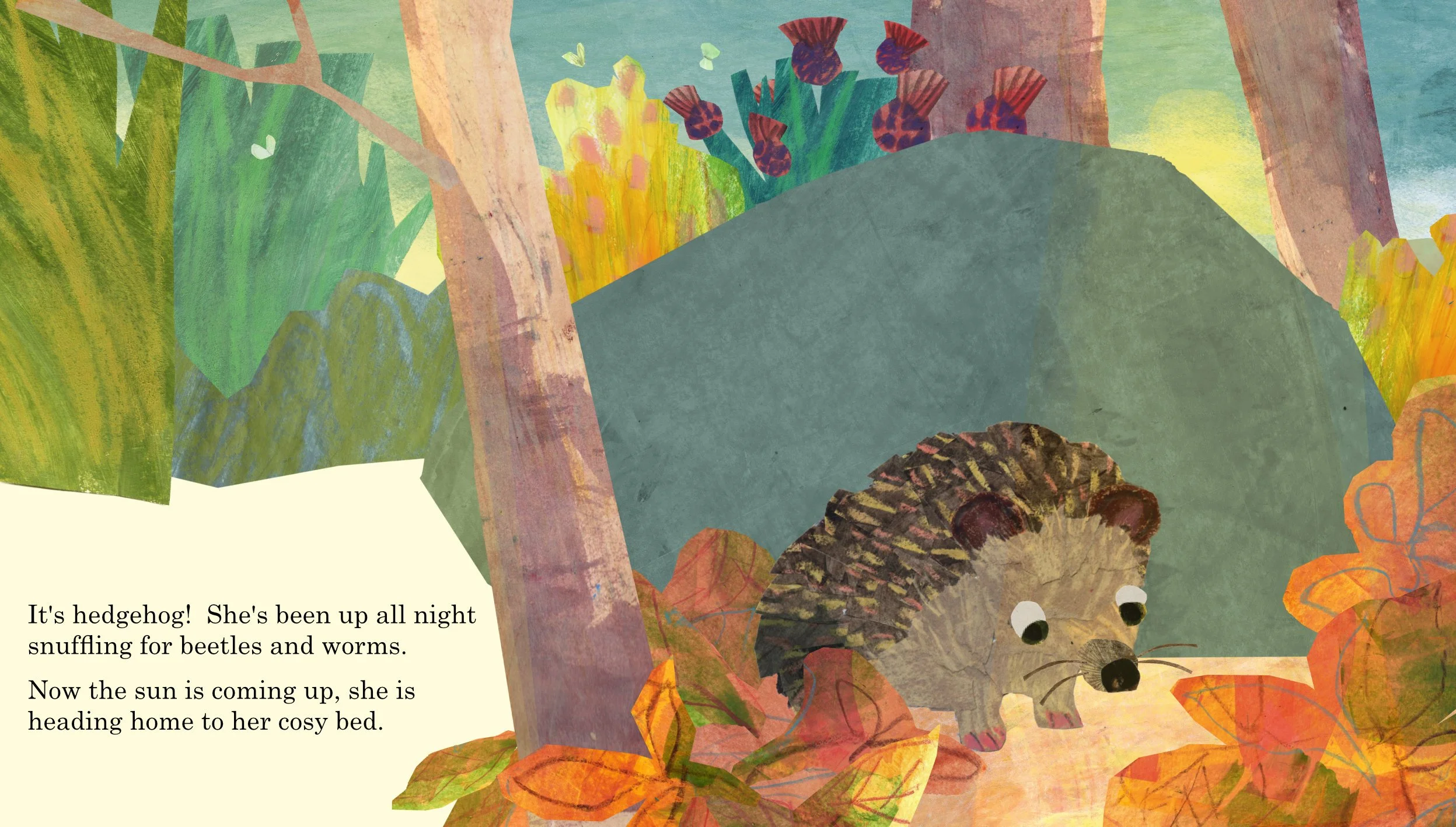 hedgehog spread v 7.jpg