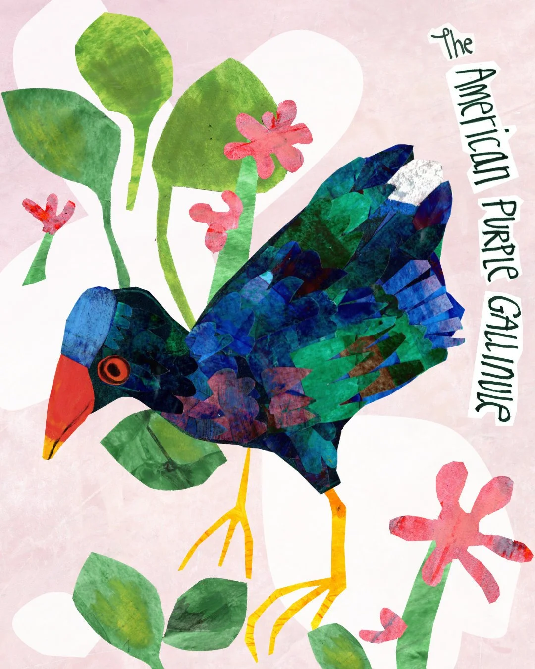 birbfest gullinule v3.jpg