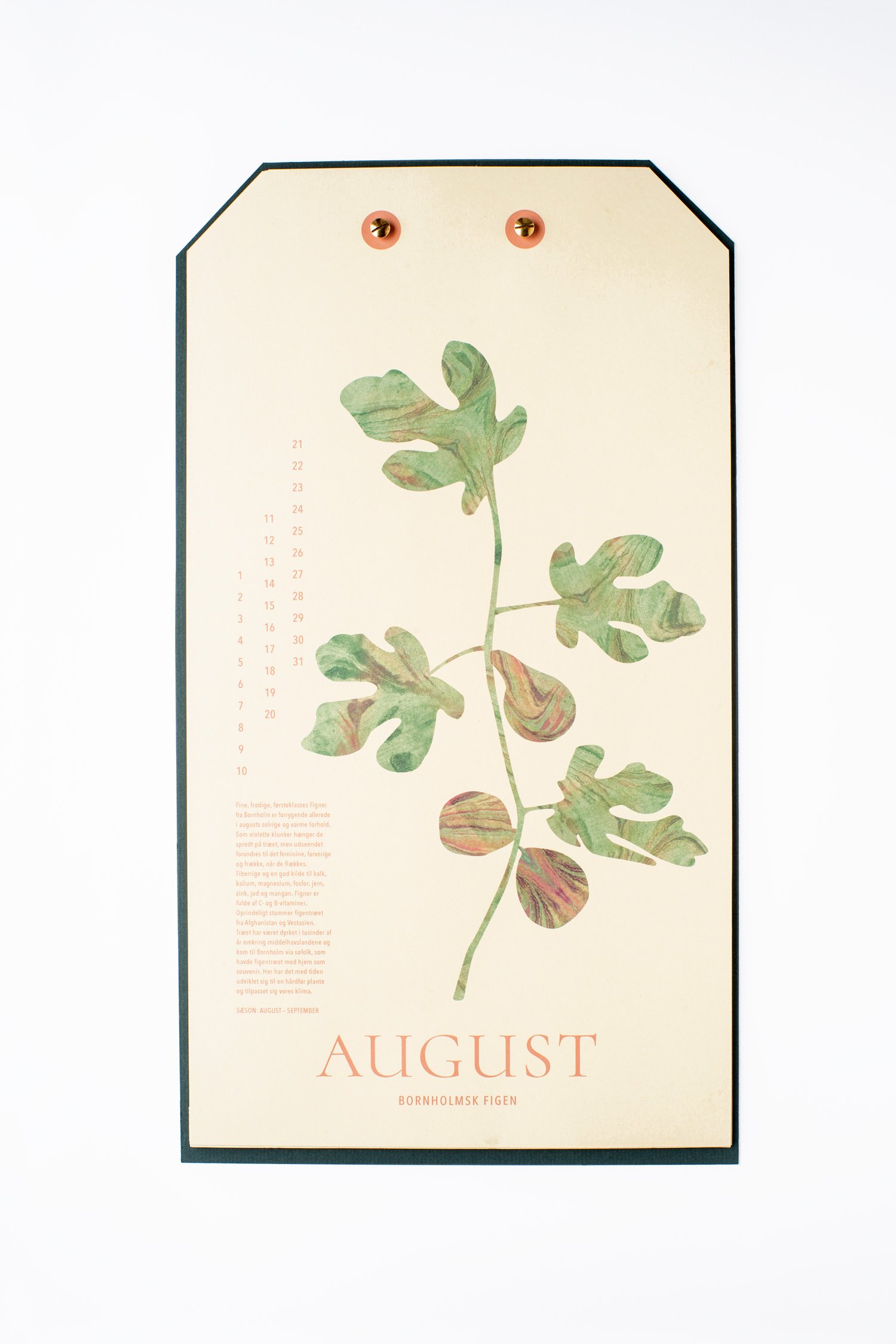 august.jpg