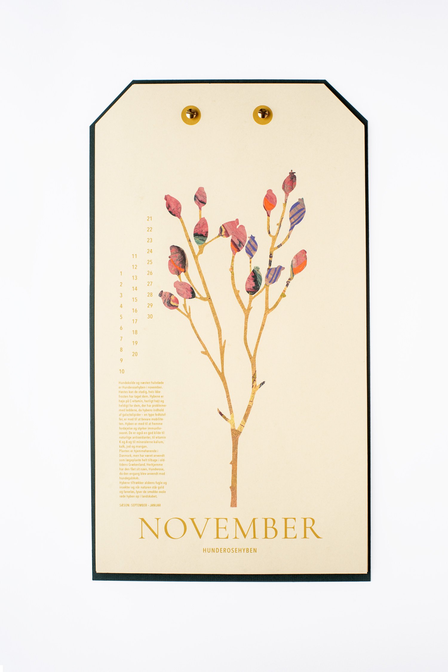 november.jpg