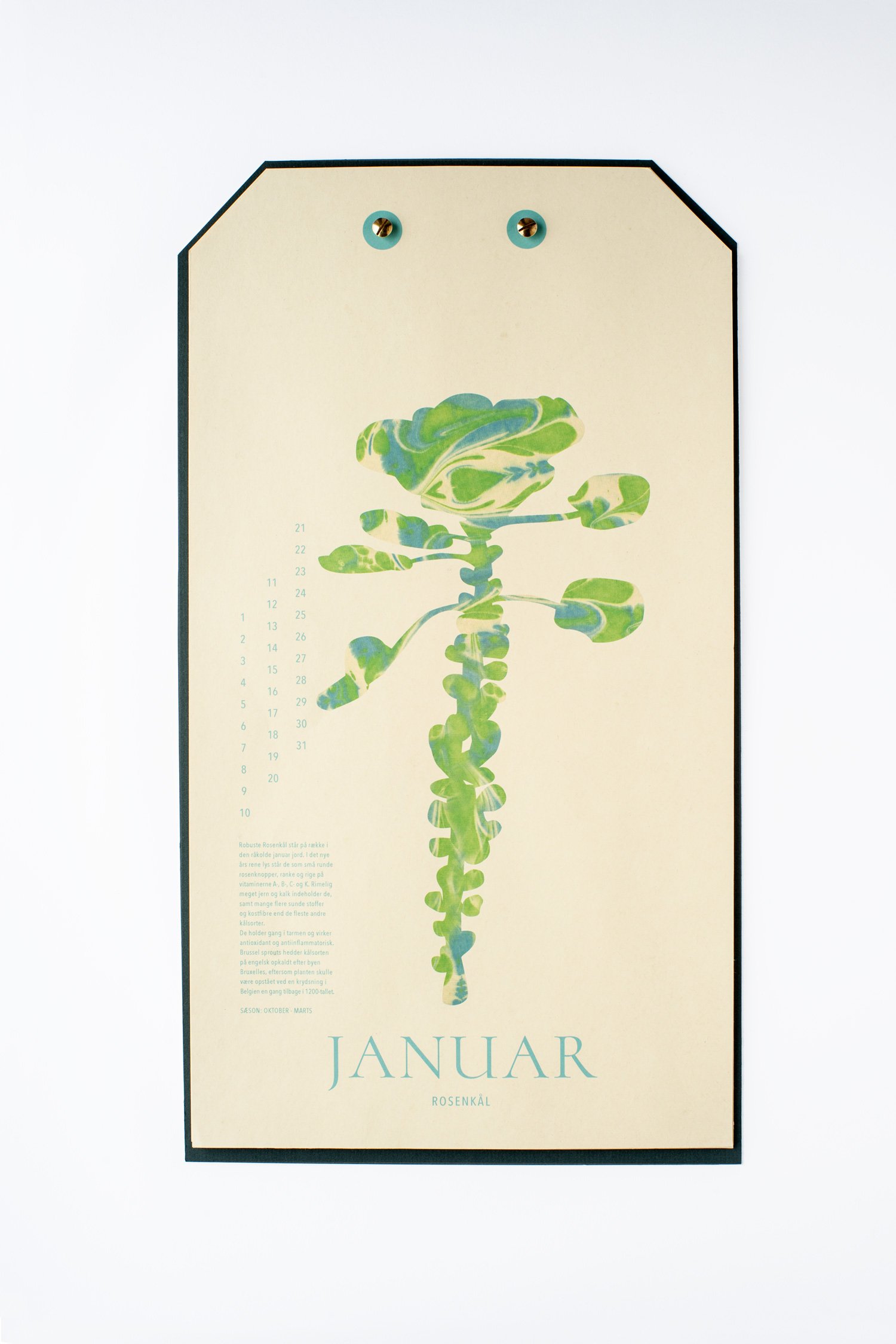 januar.jpg
