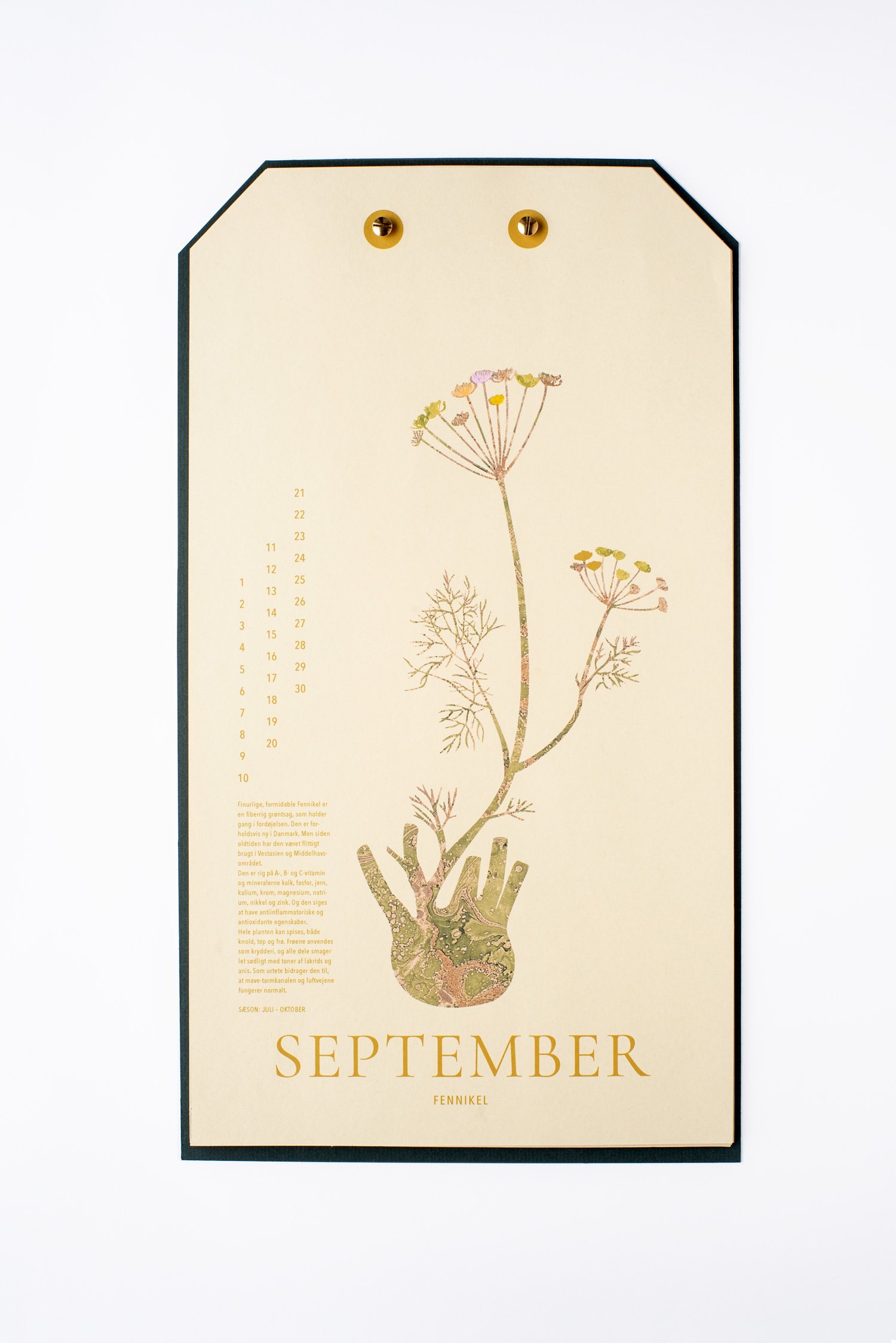 september.jpg