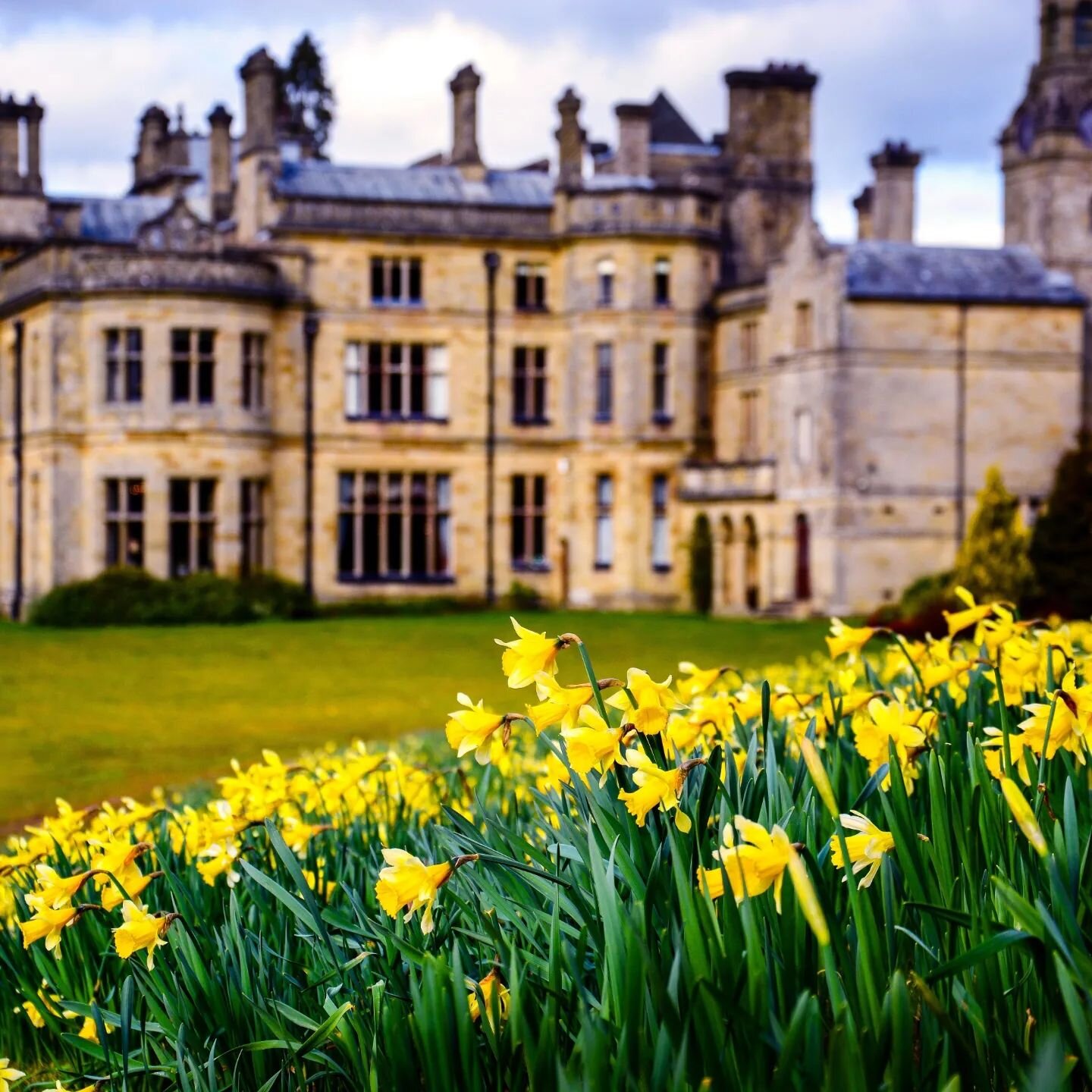 Celebrate #stdavidsday with this wonderful recipe for Welsh cakes from Sam Griffiths of @palehallhotel

Ingredients:

240g self-raising flour
65g caster sugar
125g butter
pinch table salt
50g mixed fruit
1 whole egg, 1 yolk
 

Method:

Add flour, sal