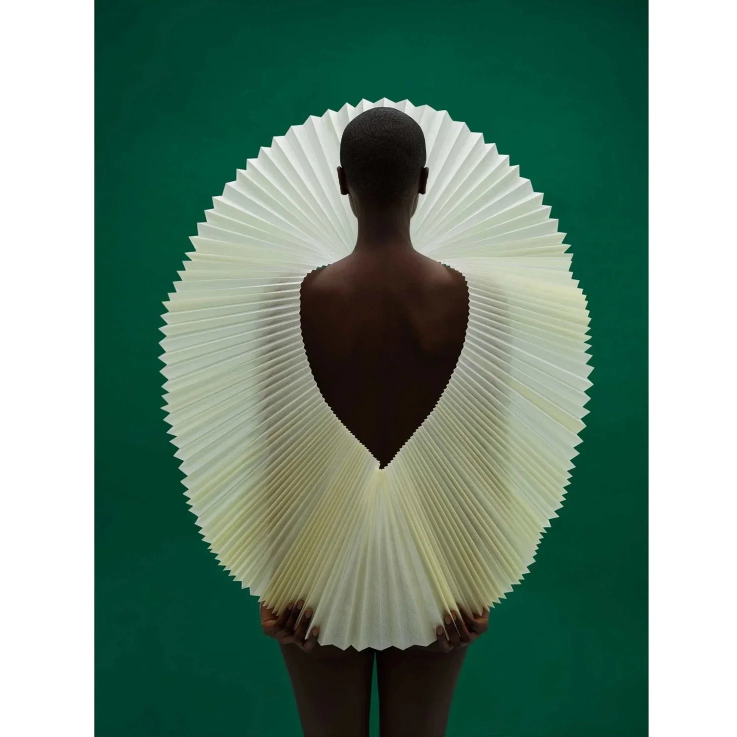 GAVIN GOODMAN