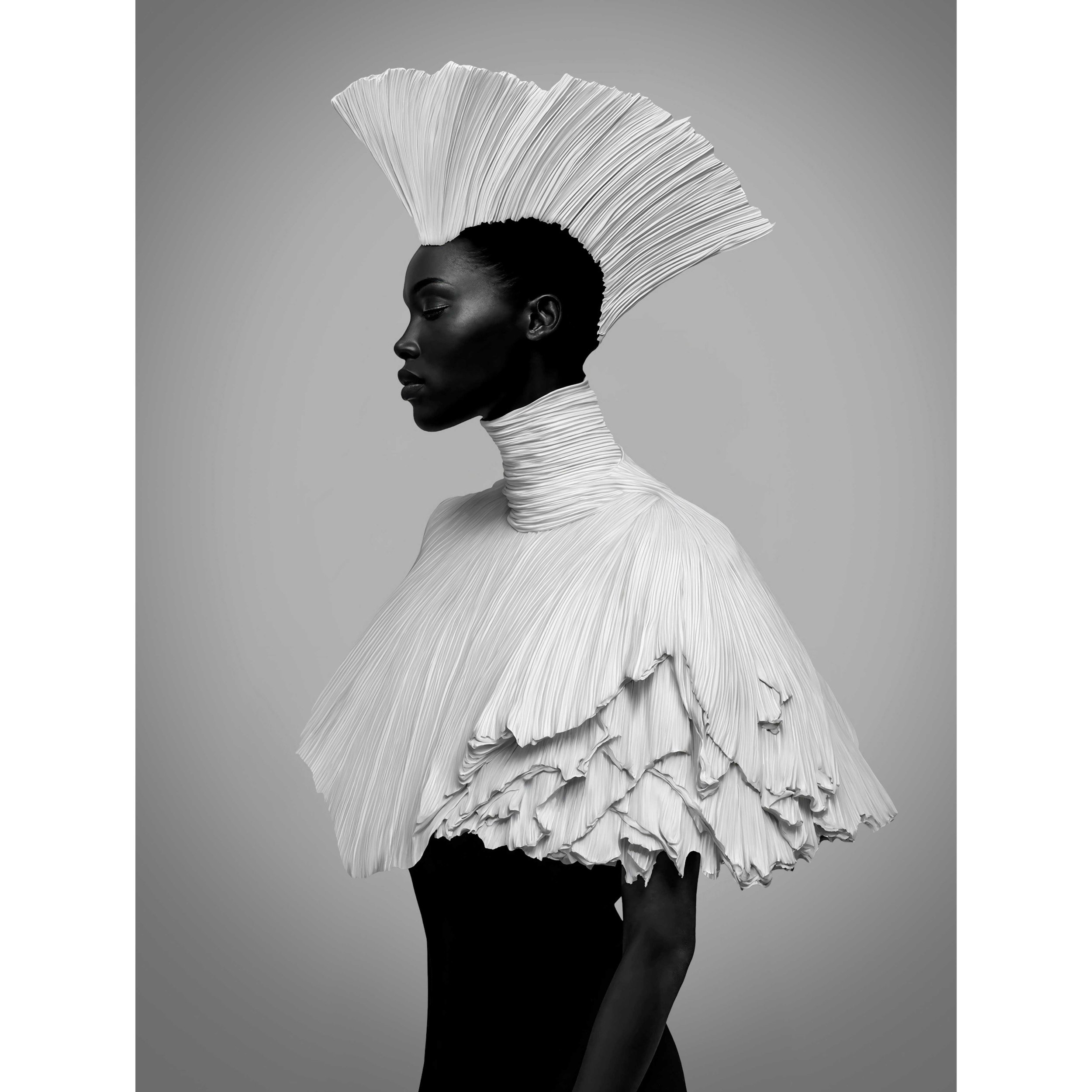 Filafriques_gavin Goodman_Vela8.jpg