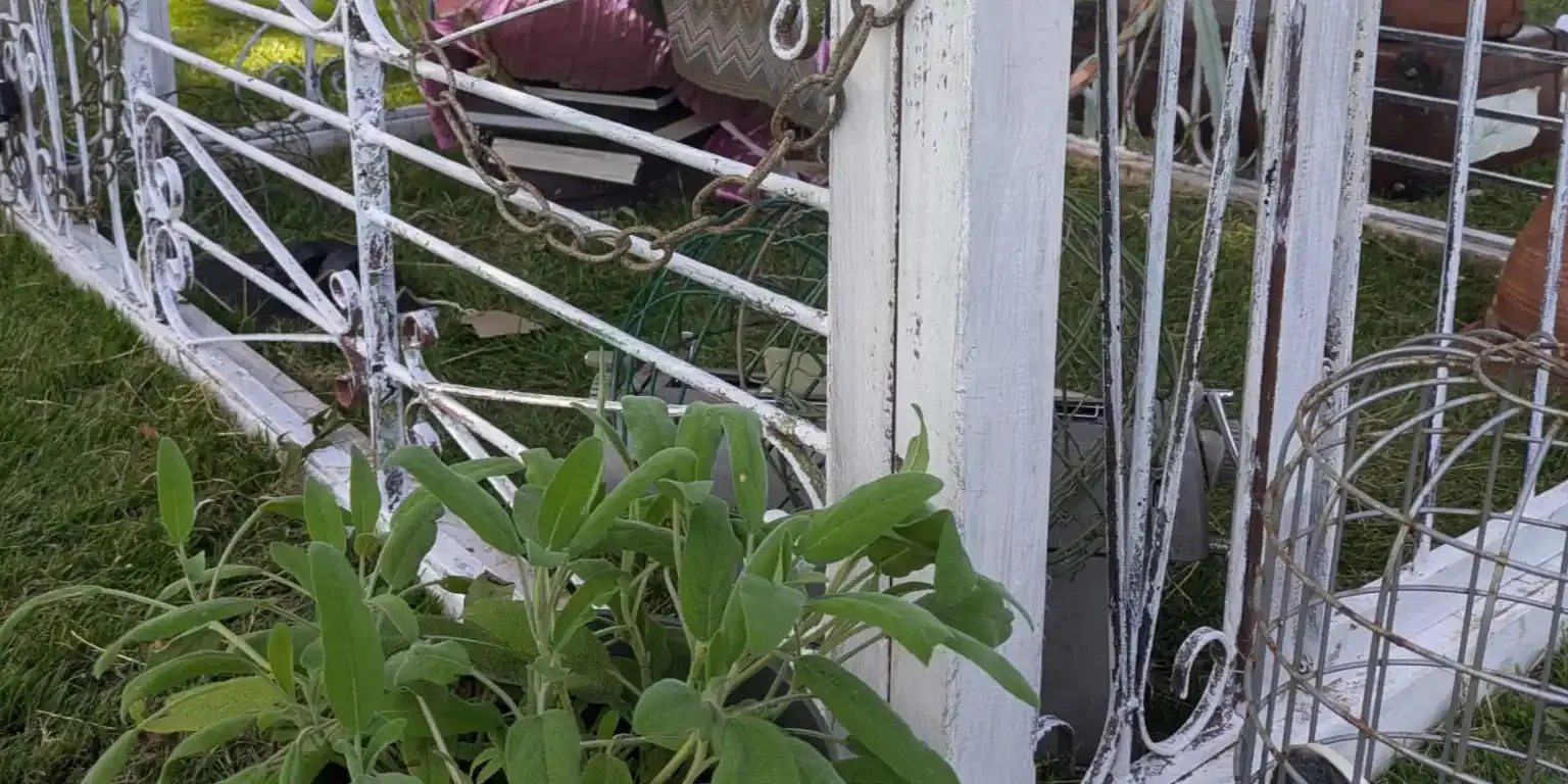 Secret Garden Escape Game