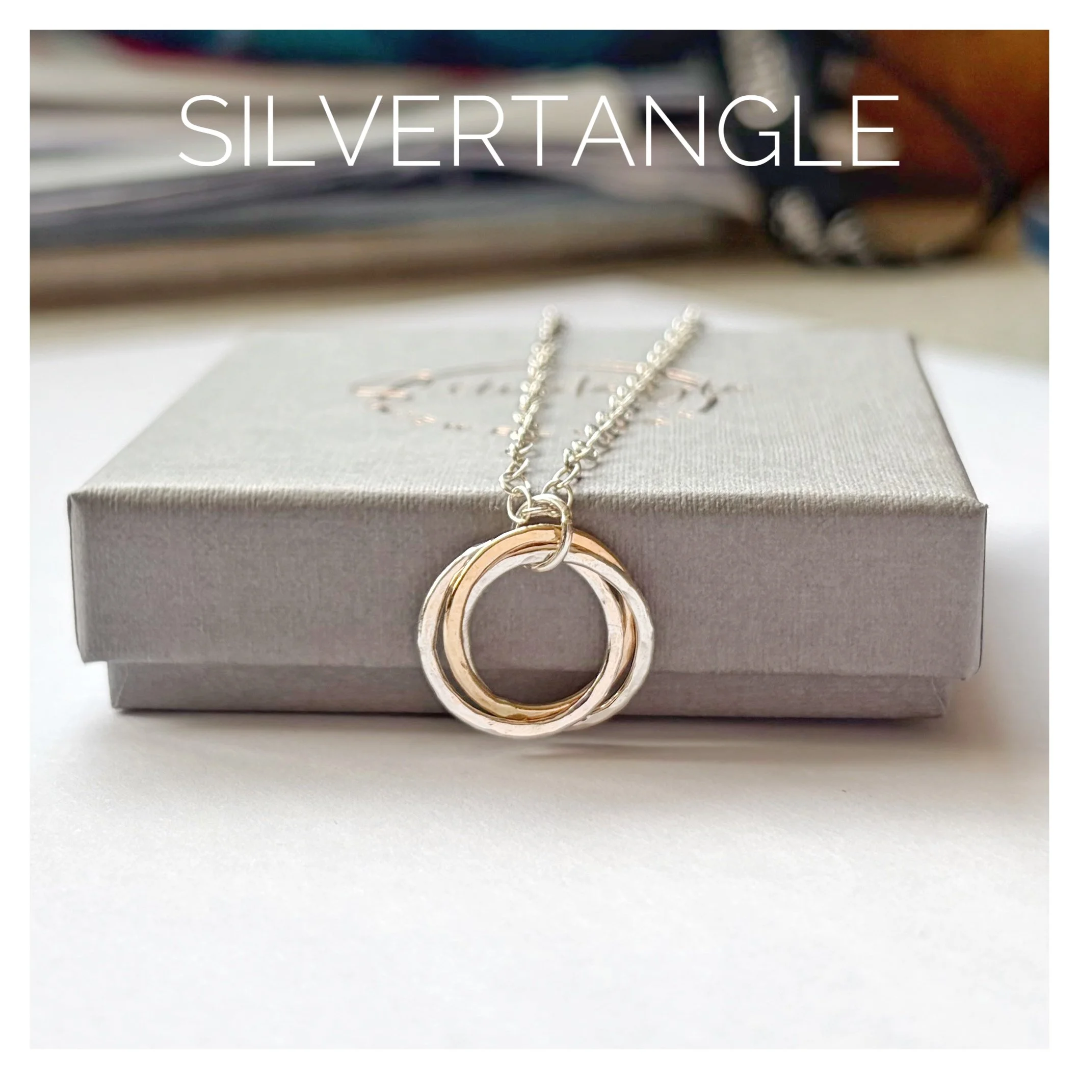 silver-gold-mobius-ring-necklace1.jpg