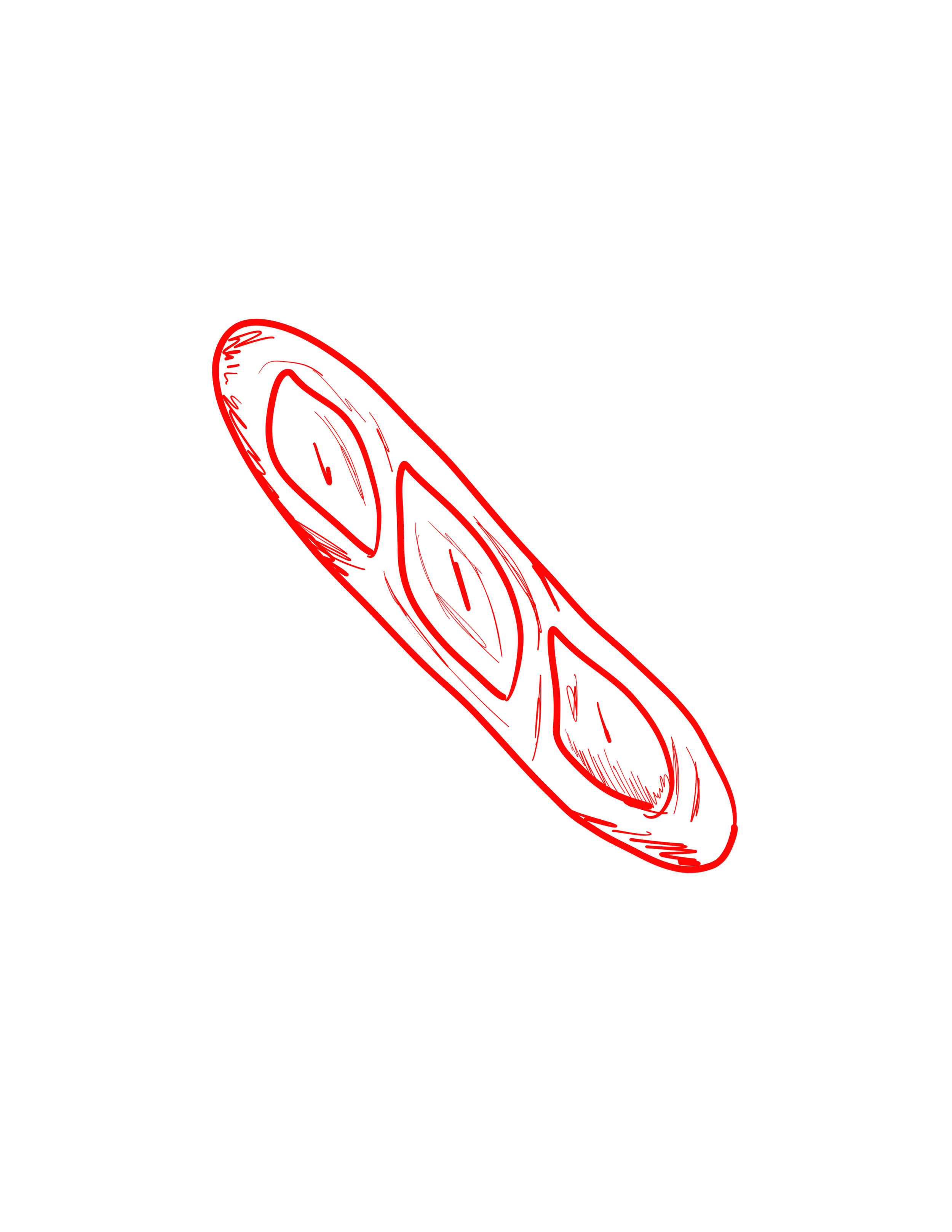 ILLUSTRATIONS (14).png