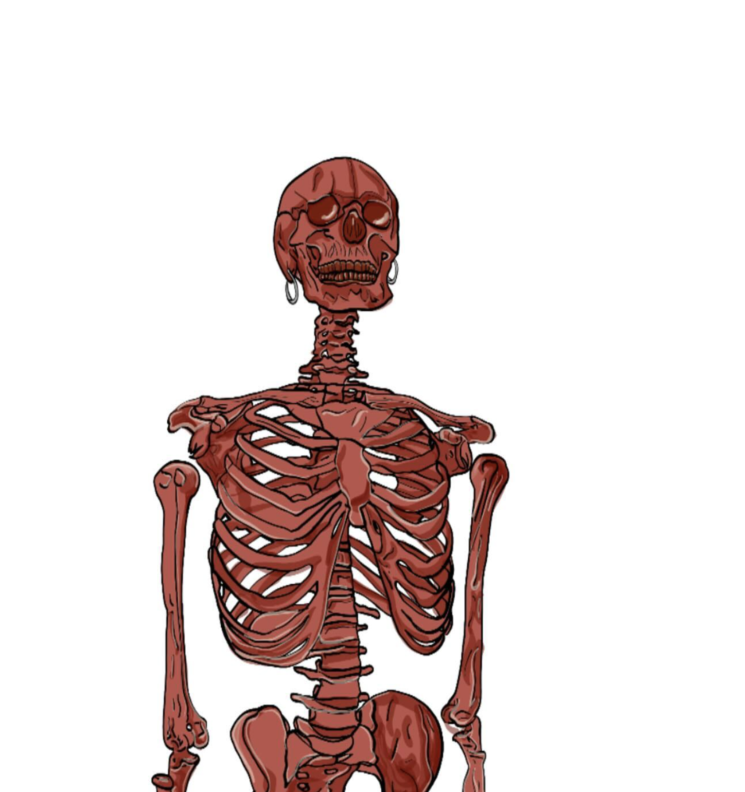 Screenshot 2026-01-02 at 11.01.10 AM.png