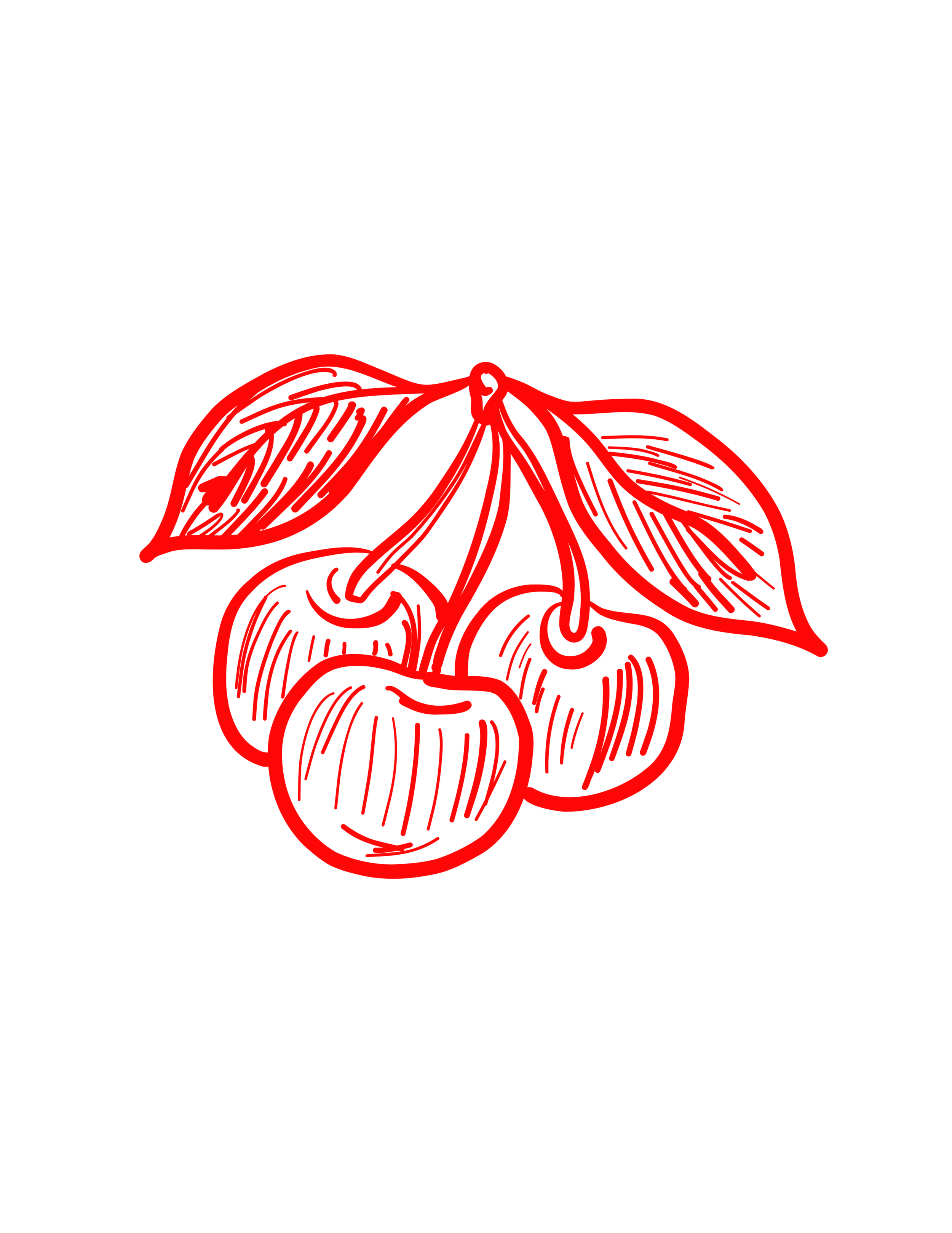 ILLUSTRATIONS (10).png