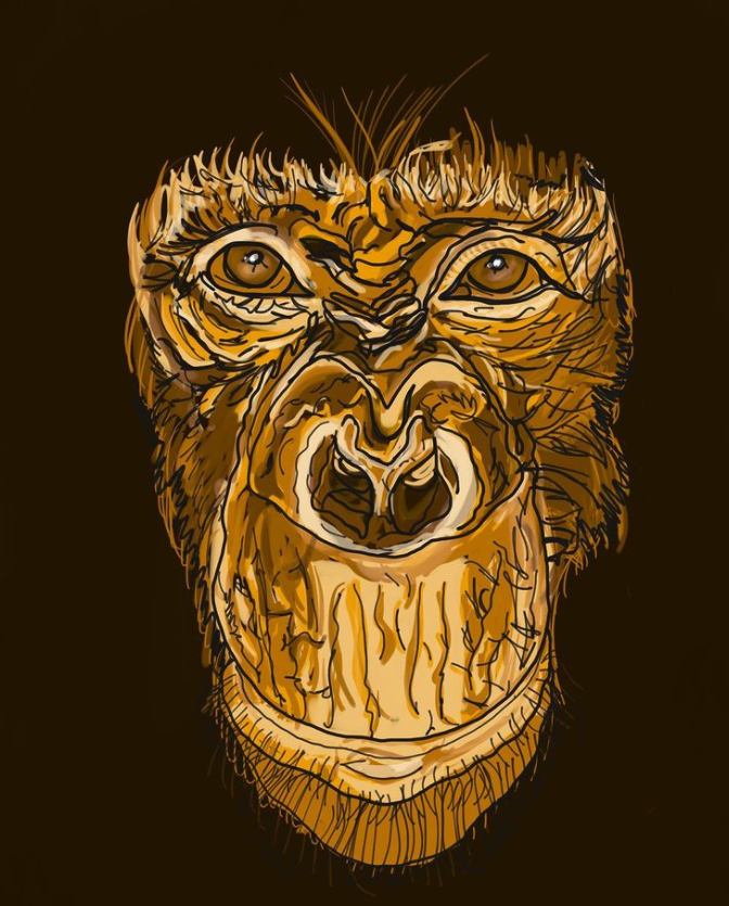 Screen Shot 2022-03-01 at 5.36.13 PM.png