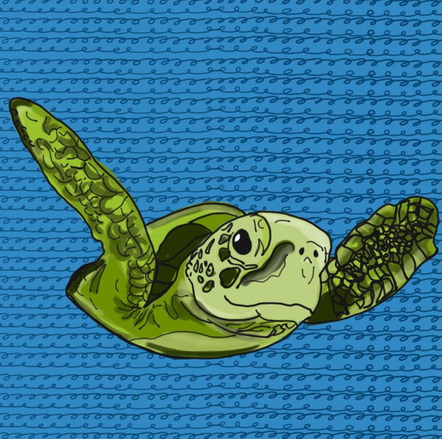 Screen Shot 2022-03-01 at 5.39.13 PM.png