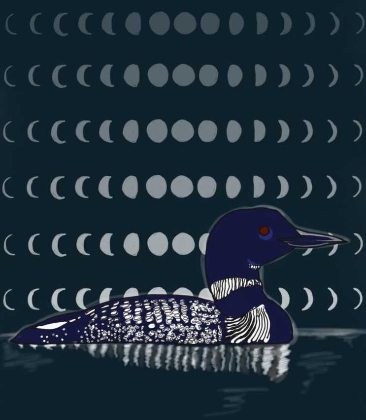 Screen Shot 2022-03-01 at 5.37.31 PM.png