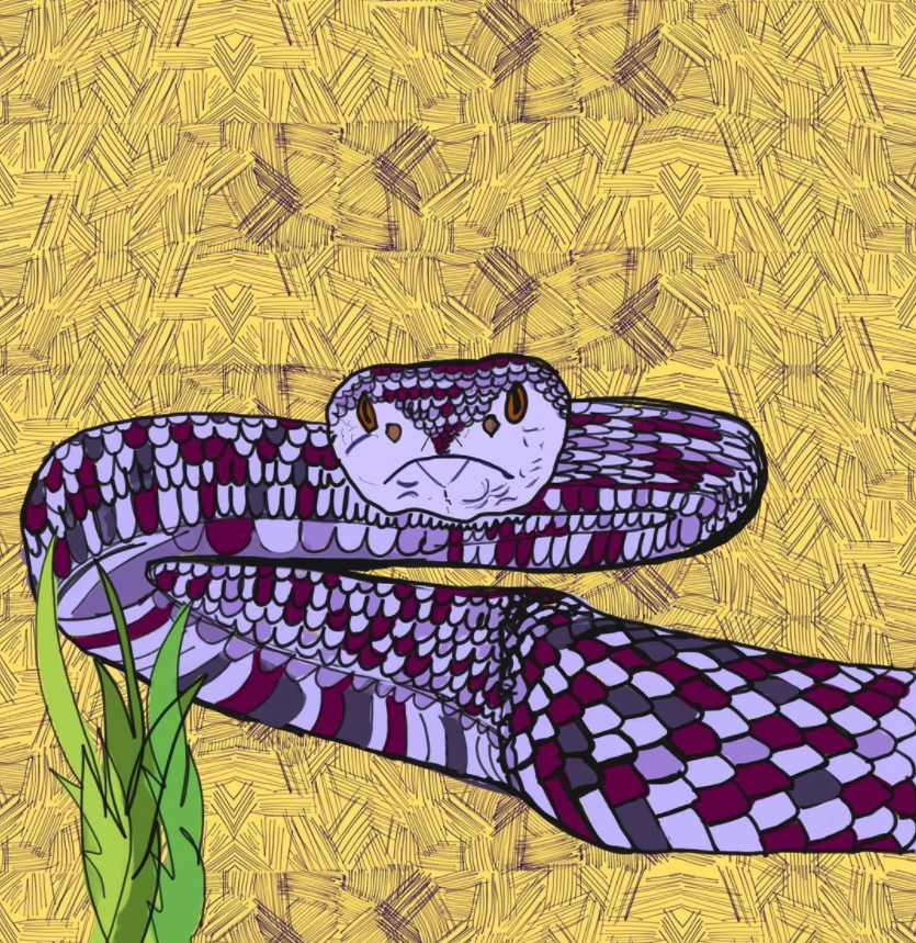 Screen Shot 2022-03-01 at 5.39.33 PM.png