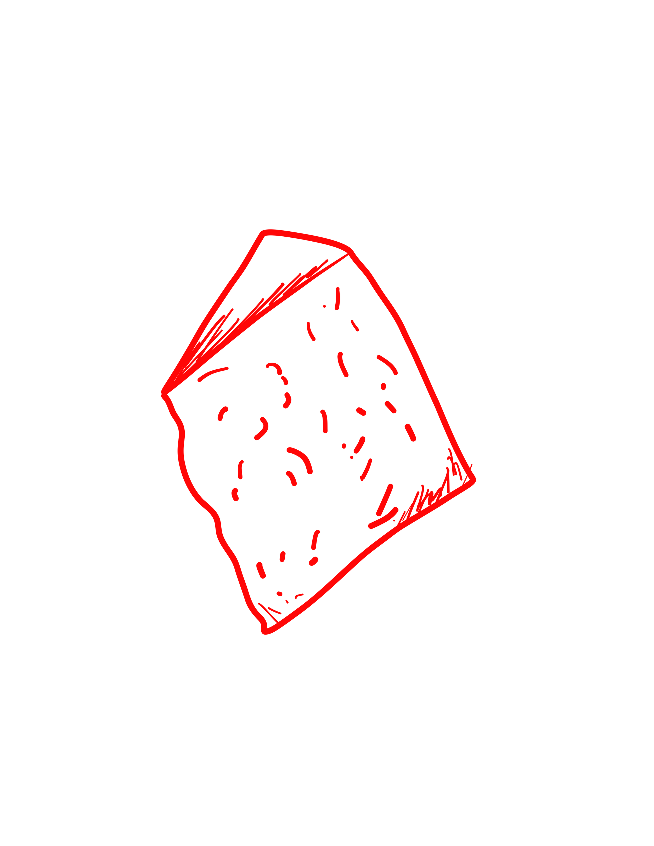 ILLUSTRATIONS (15).png