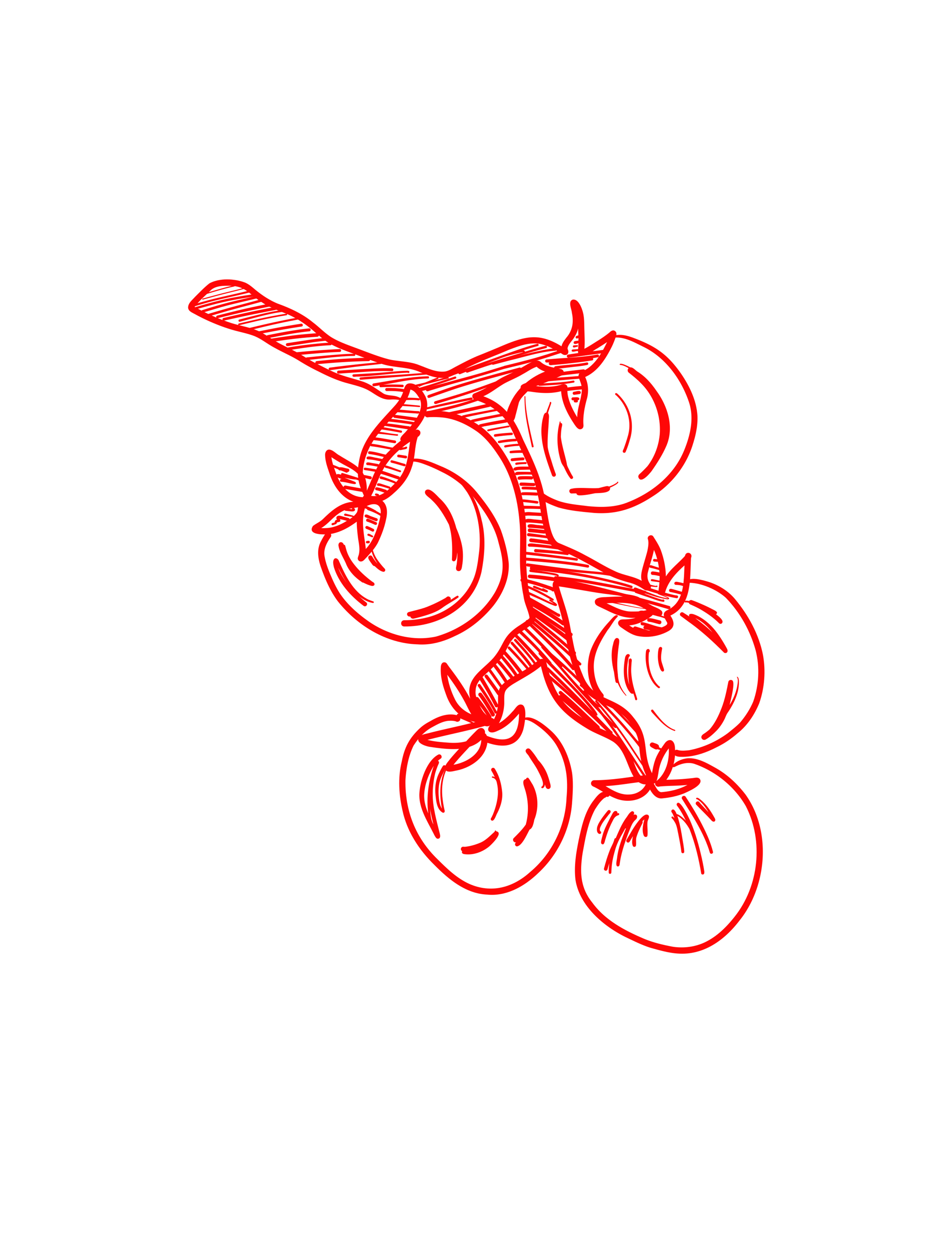 ILLUSTRATIONS (20).png