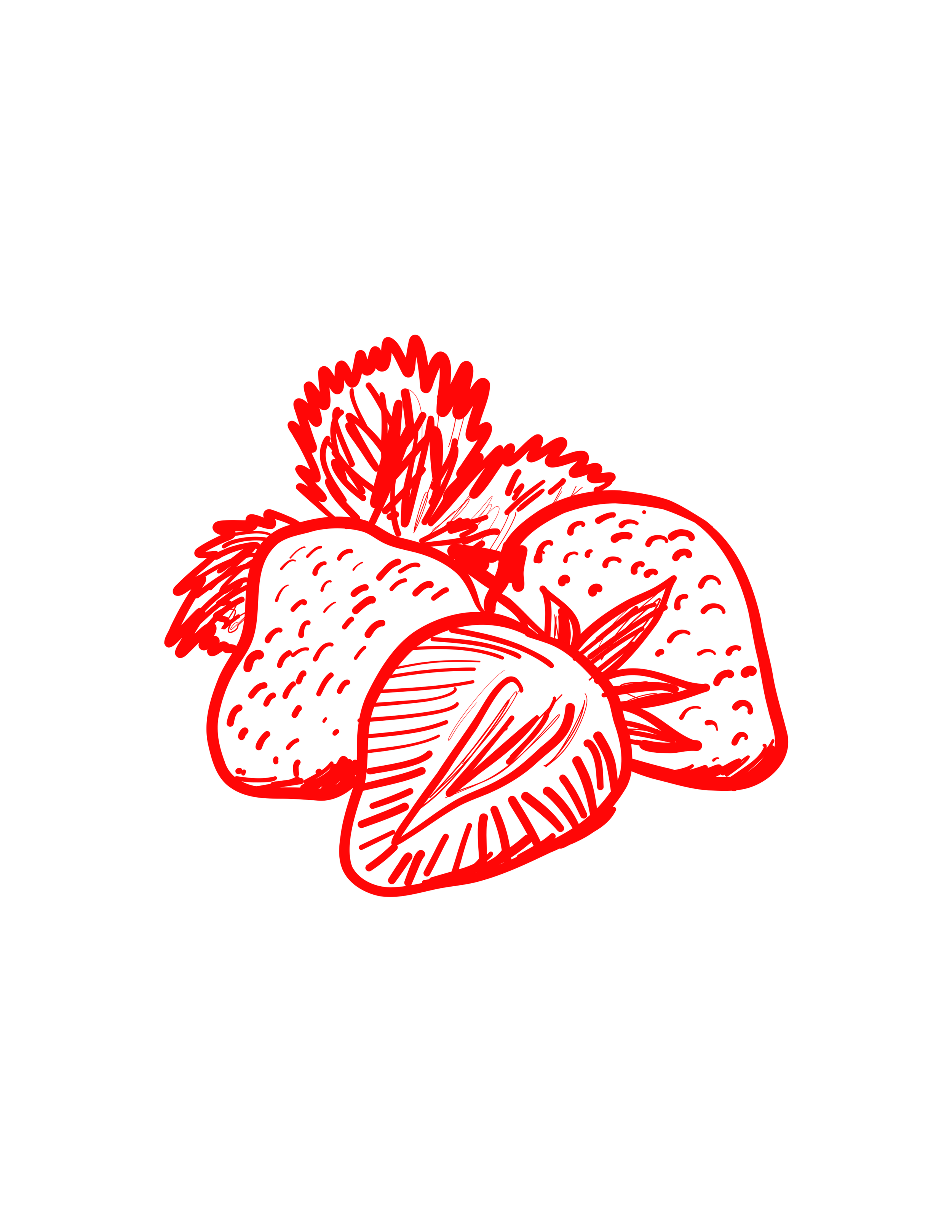 ILLUSTRATIONS (16).png