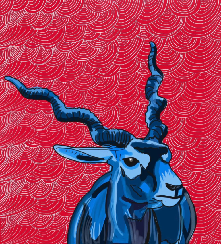 Screen Shot 2022-03-01 at 5.39.48 PM.png